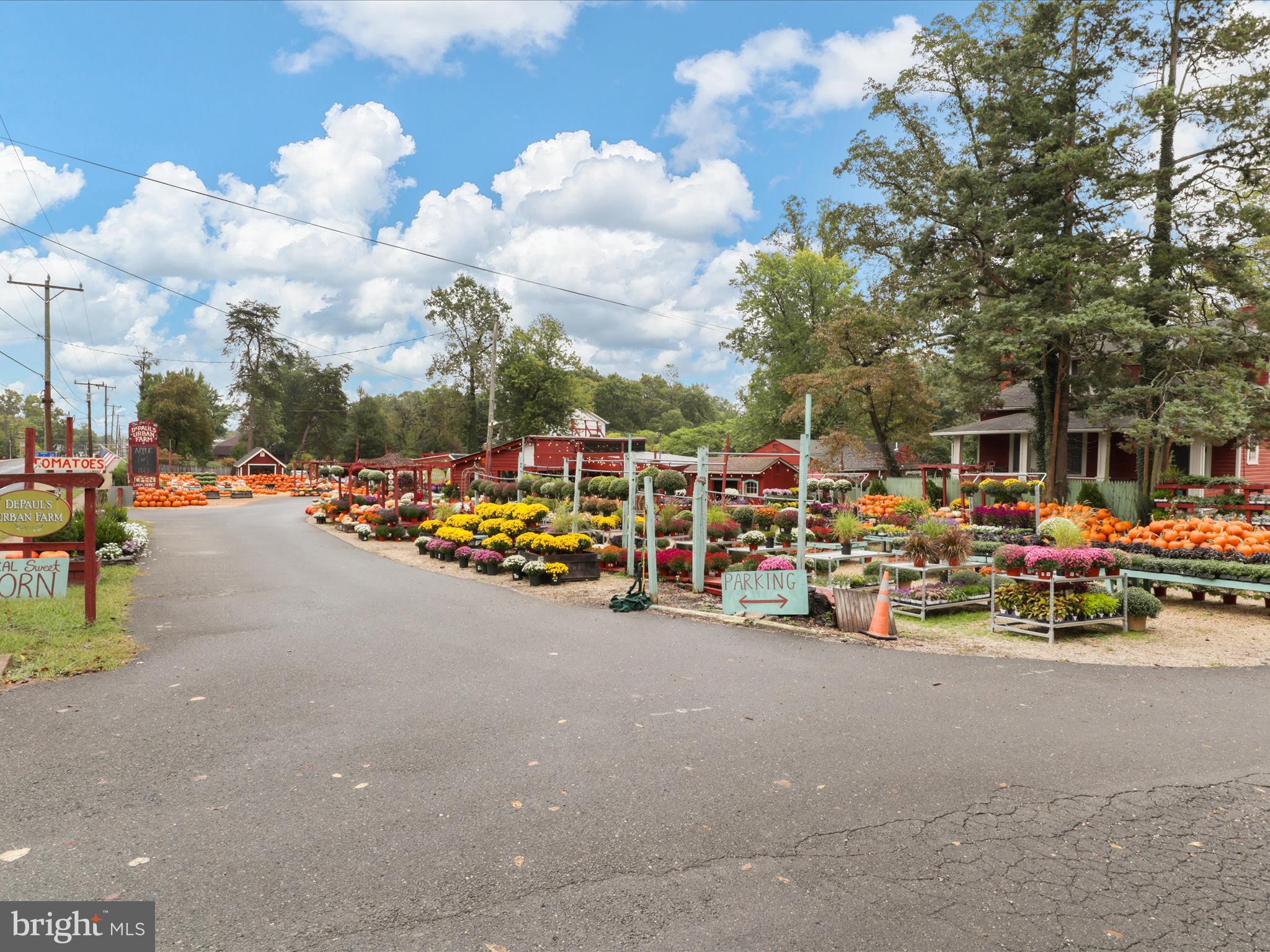 OAK VALLEY ESTATES - Residential