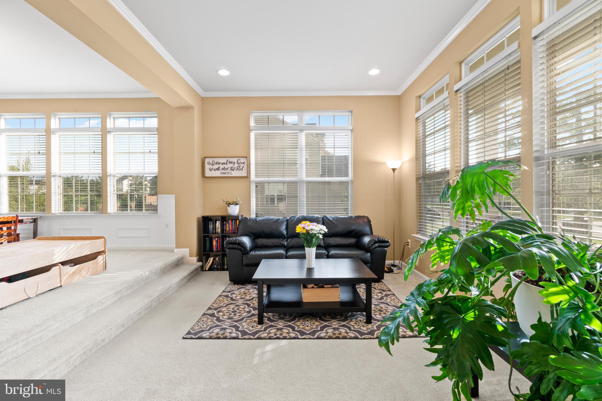 STAFFORD LAKES VILLAGE - Residential