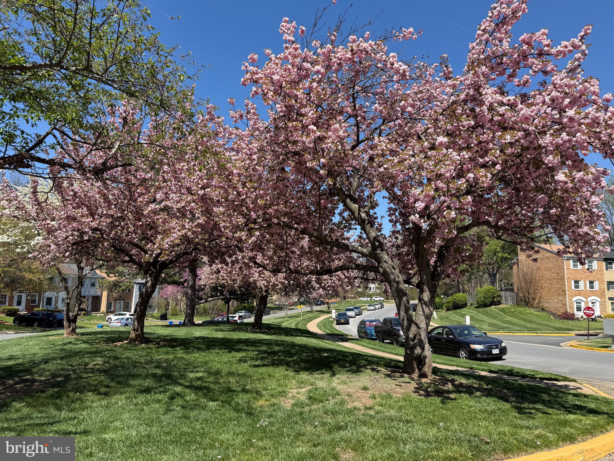 6302 PADDINGTON LANE