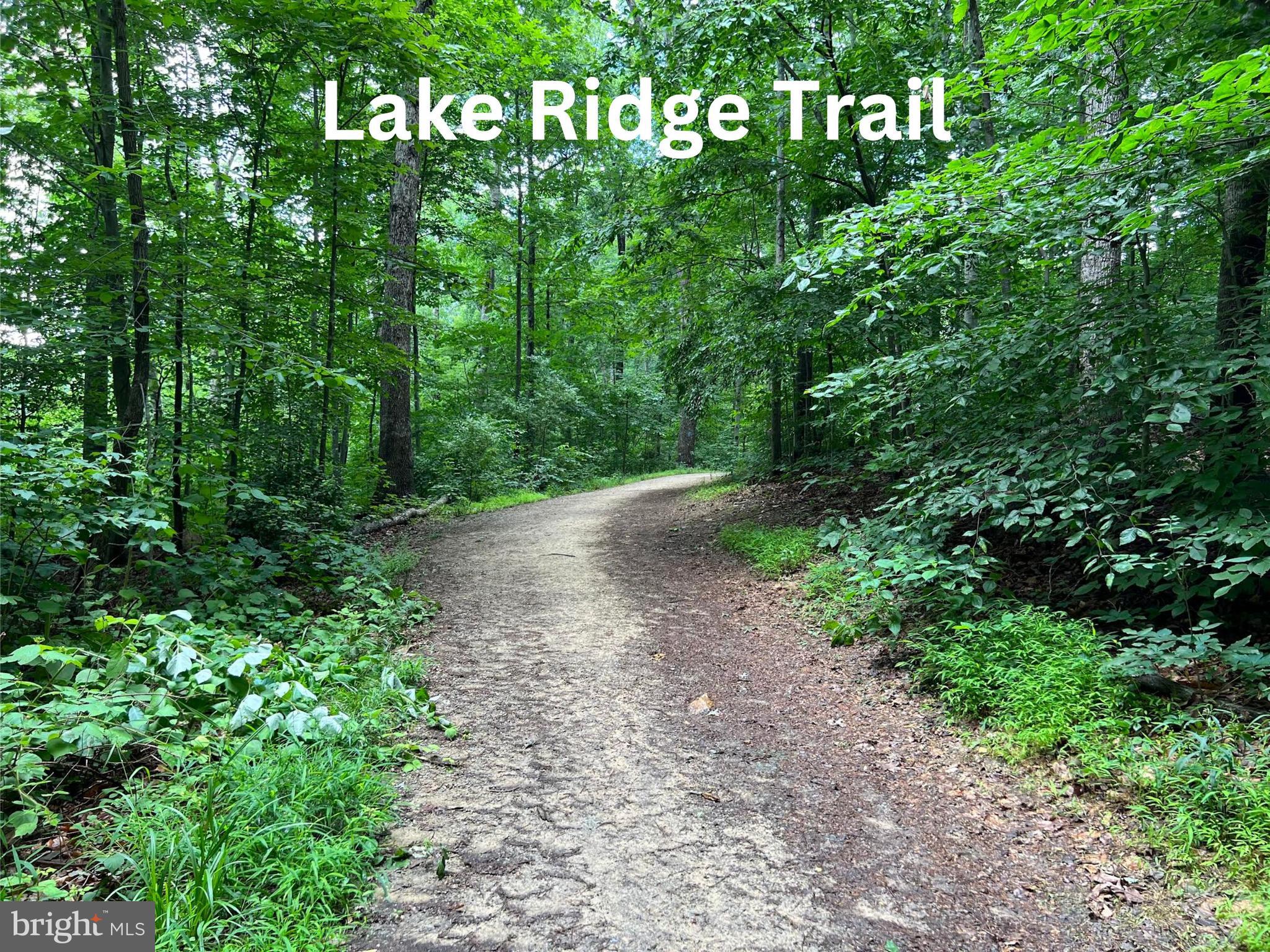 LAKE RIDGE - Residential