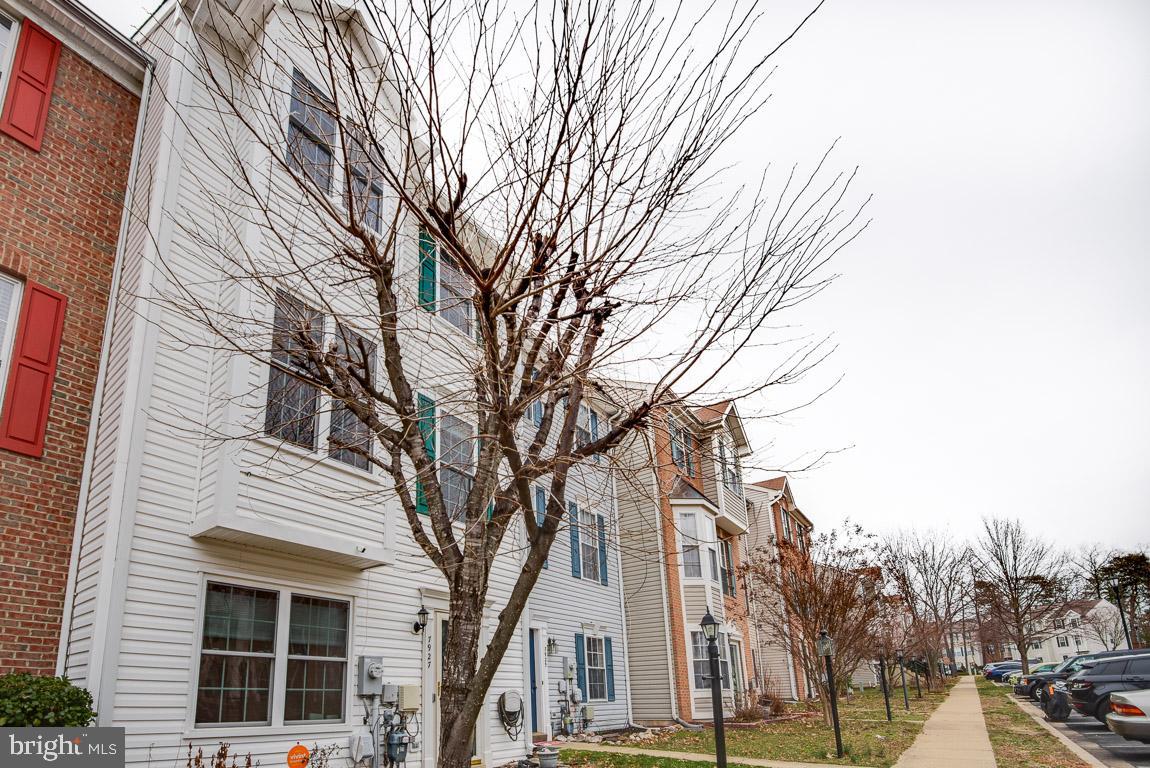 CARRIAGE PINES/LAKE VILL - Residential