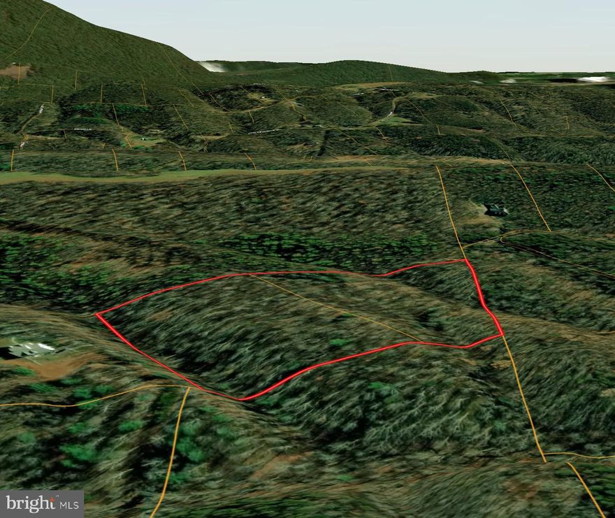 Escape to your own private woodland retreat just 20 minutes from Winchester and Winchester Medical Center. Tucked away off Reynolds Road, this offering includes two scenic 5-acre wooded lots being sold together for $129,000—priced below tax assessment for exceptional value.

Lot 8A is approved for a 3-bedroom septic system, while Lot 8B supports a 4-bedroom septic, giving you flexibility to build now or in the future. Whether you're looking to create a full-time residence, weekend getaway, or investment opportunity, these parcels provide the space and freedom to make it your own.

No HOA restrictions and hunting is permitted, making it ideal for outdoor enthusiasts. Convenient access to Route 522 puts you within easy reach of Cacapon State Park and the historic charm of Berkeley Springs.

A rare chance to own 10 acres of peaceful, wooded land at a great price—come explore the possibilities!