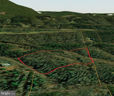 Vacant Land For Sale - LOT 8A & 8B Reynolds Rd<br/> Frederick County, CROSS JUNCTION, VA 22625