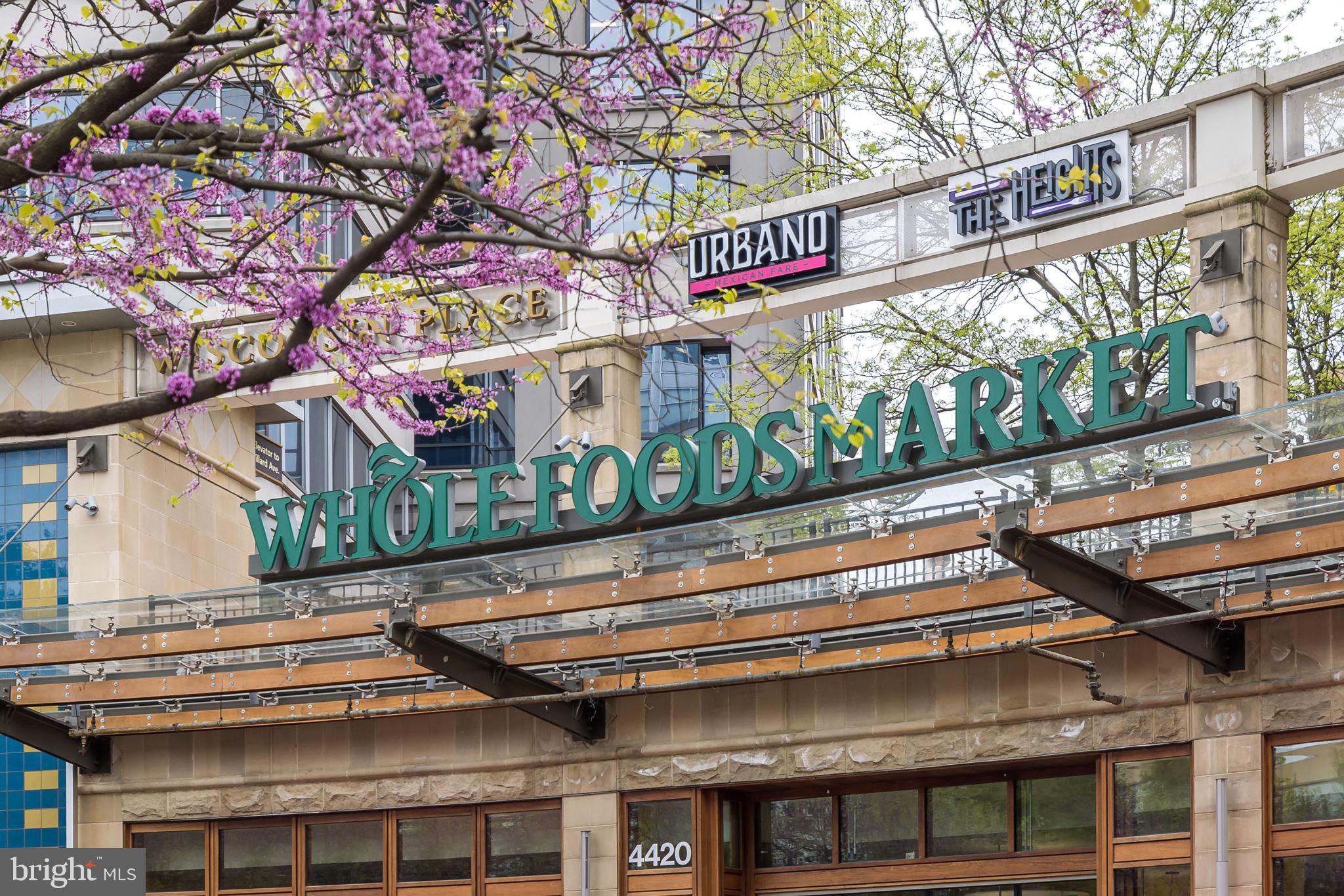 GLEN COVE - Residential