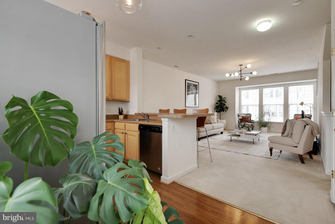 PARKSIDE AT DULLES - Residential