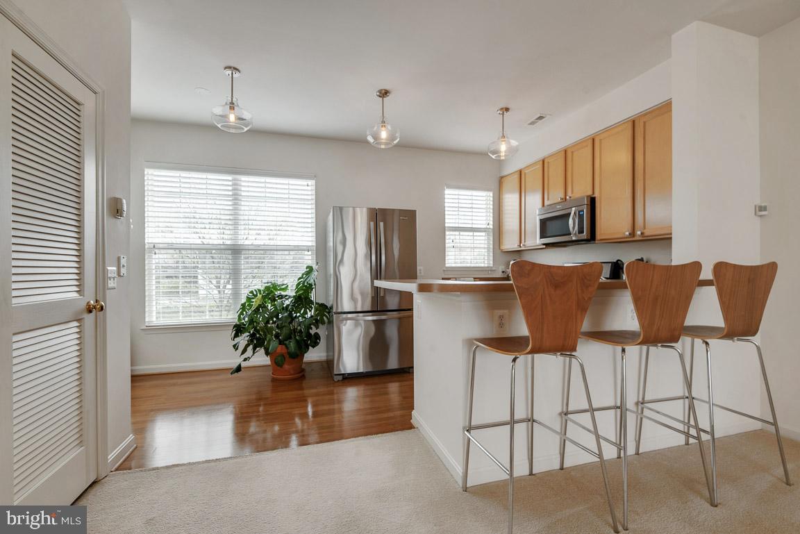 PARKSIDE AT DULLES - Residential