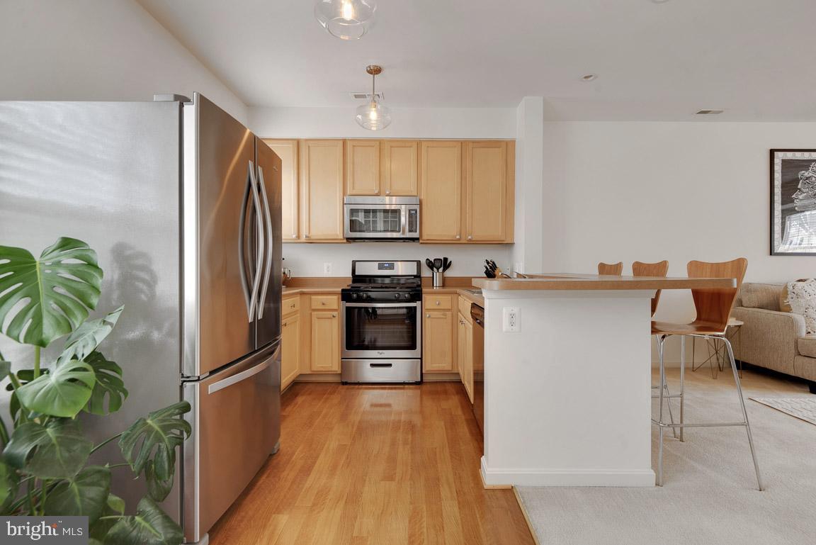 PARKSIDE AT DULLES - Residential