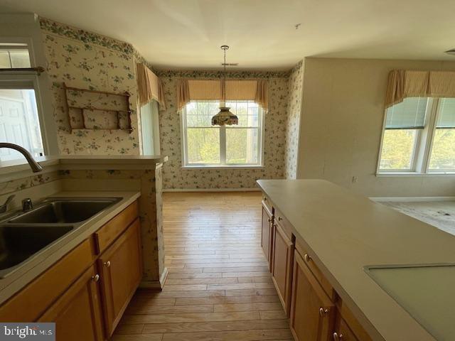 TAYLOR RIDGE - Residential