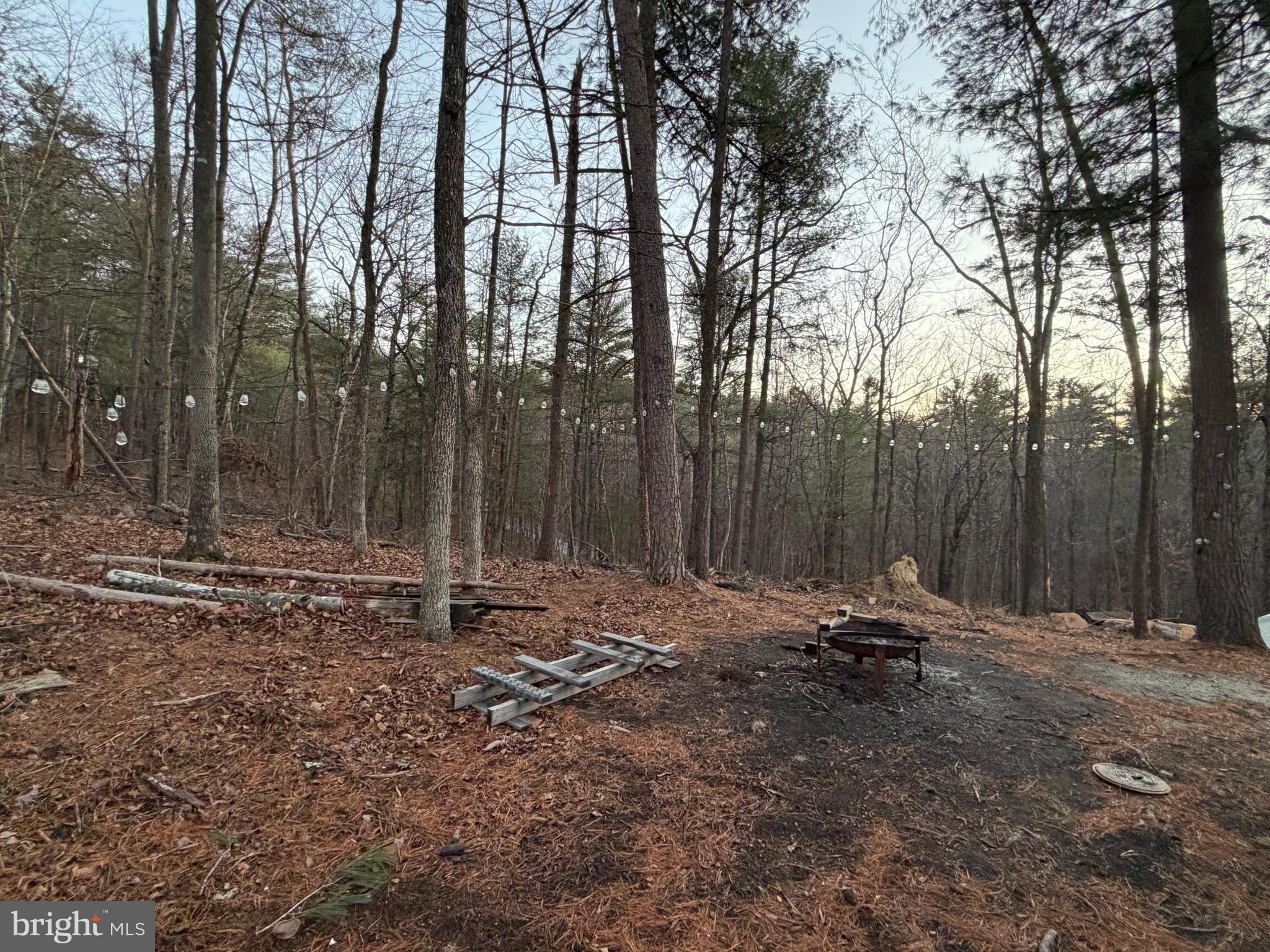 BRYCE  MOUNTAIN  RESORT - Residential