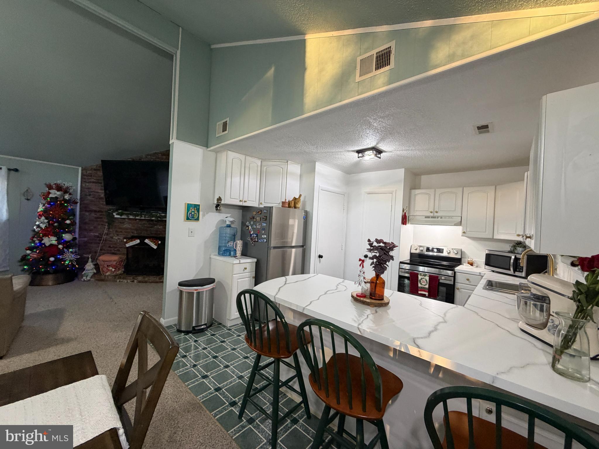 BRYCE  MOUNTAIN  RESORT - Residential