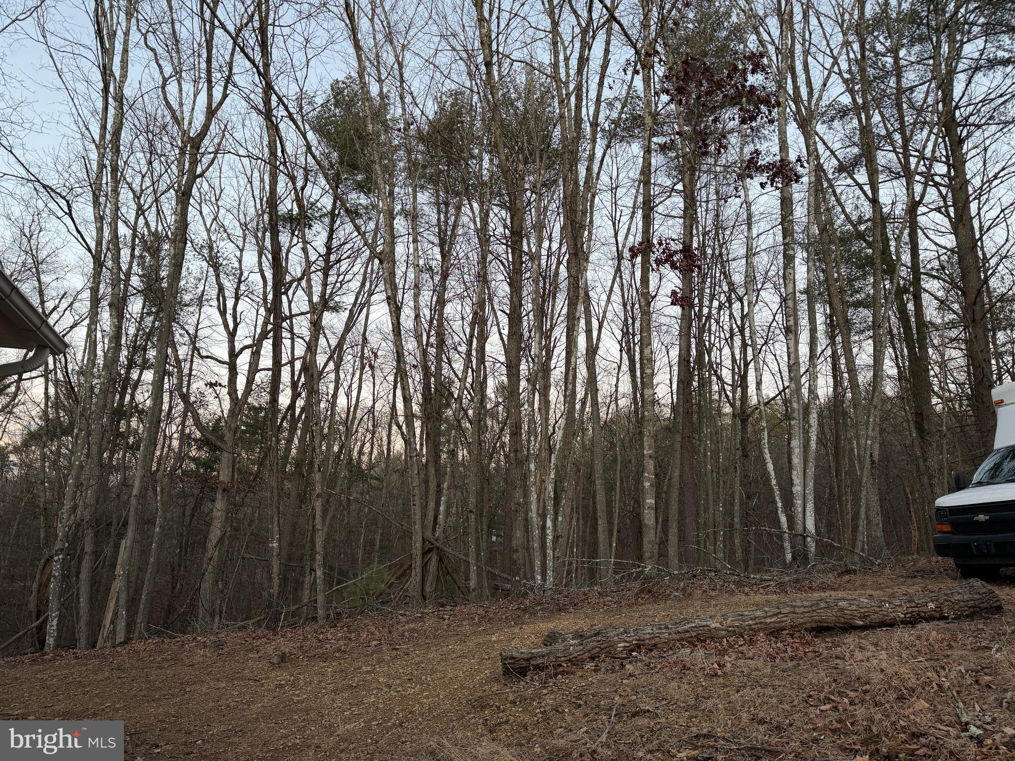 BRYCE  MOUNTAIN  RESORT - Residential