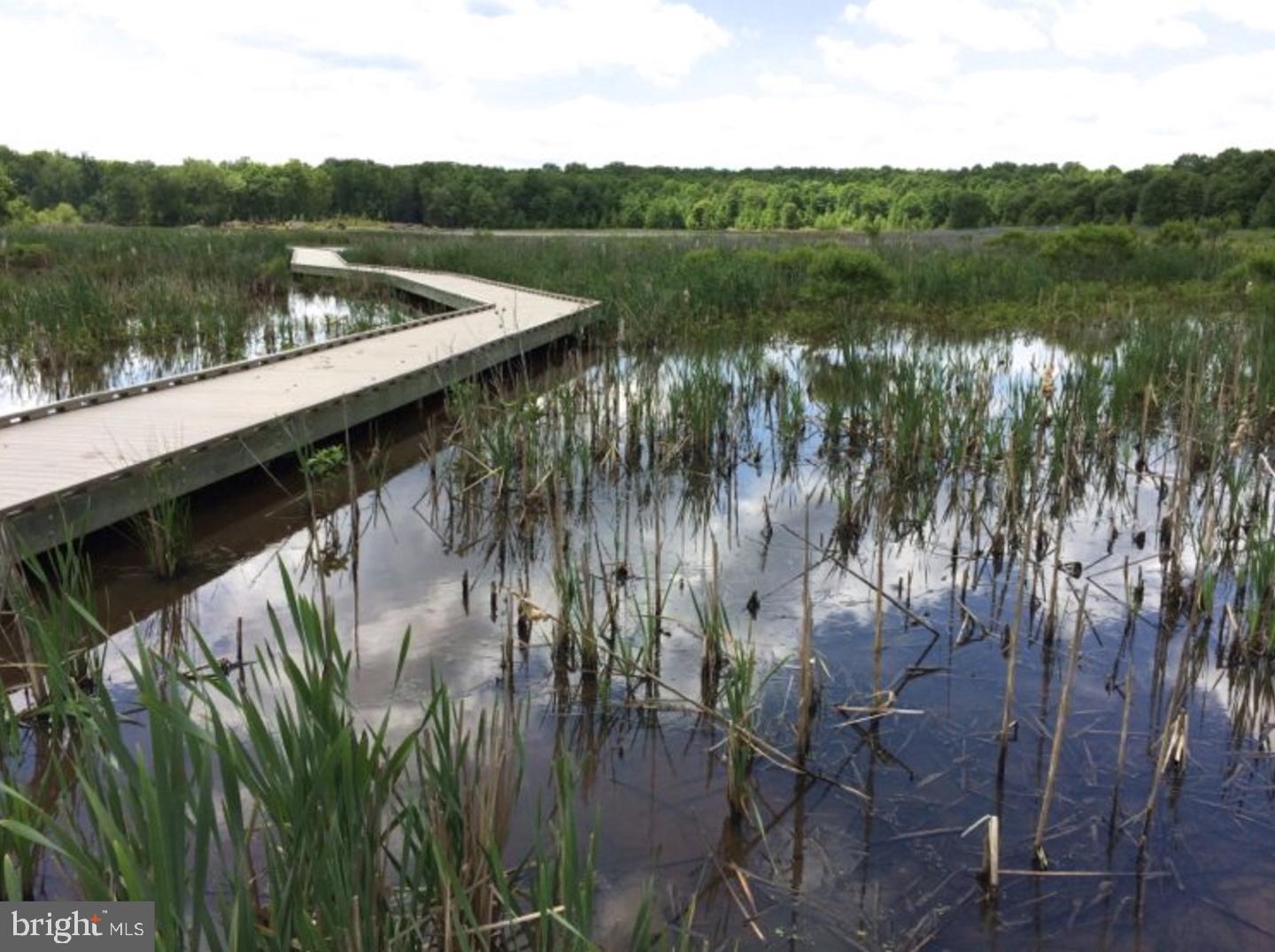 MOUNT VERNON SQUARE - Residential Lease