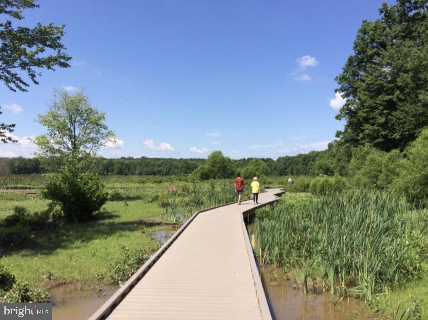 MOUNT VERNON SQUARE - Residential Lease