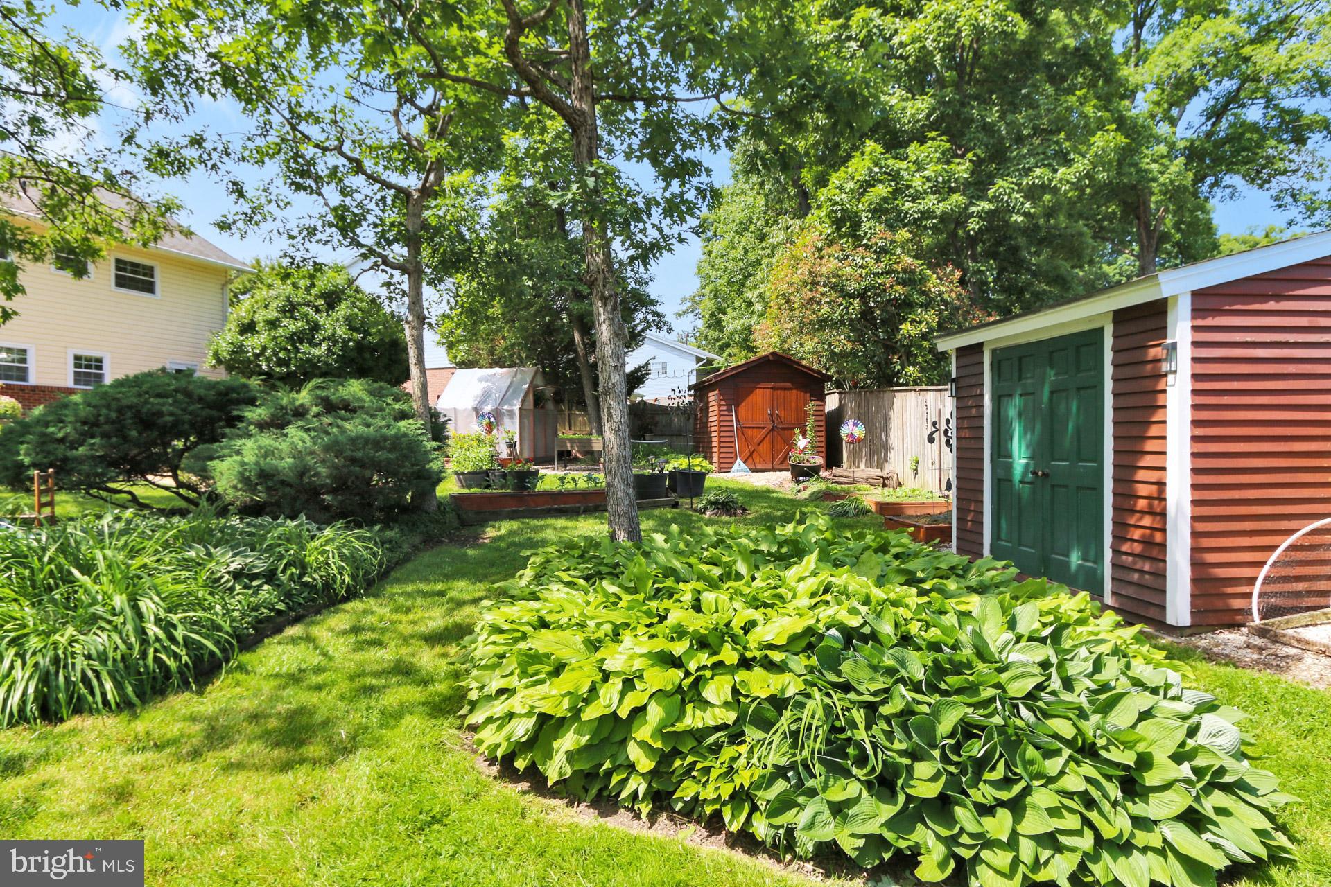 CARDINAL FOREST - Residential