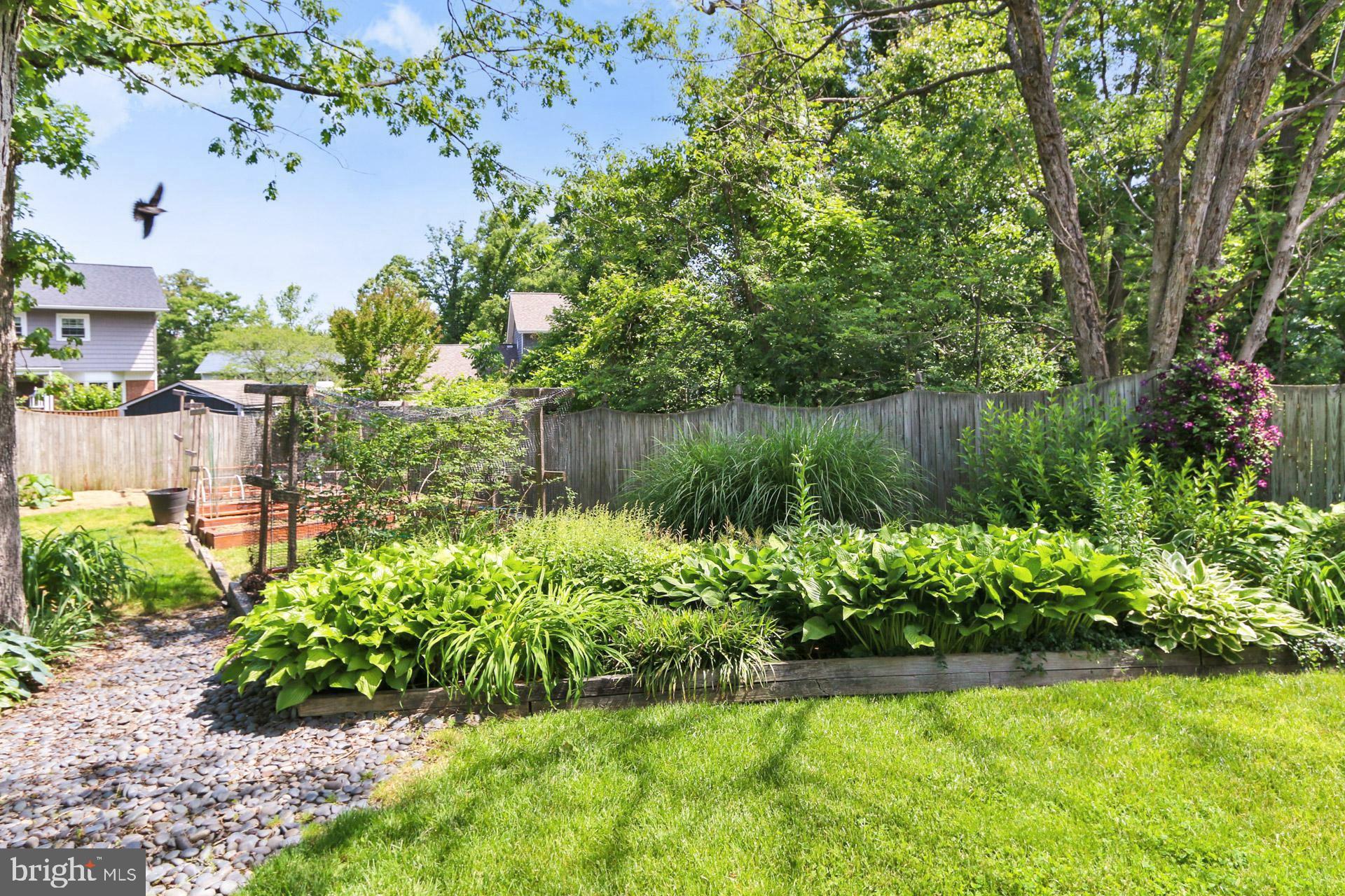 CARDINAL FOREST - Residential