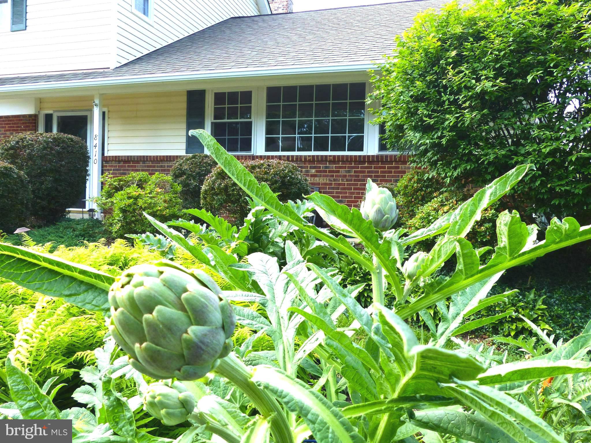 CARDINAL FOREST - Residential