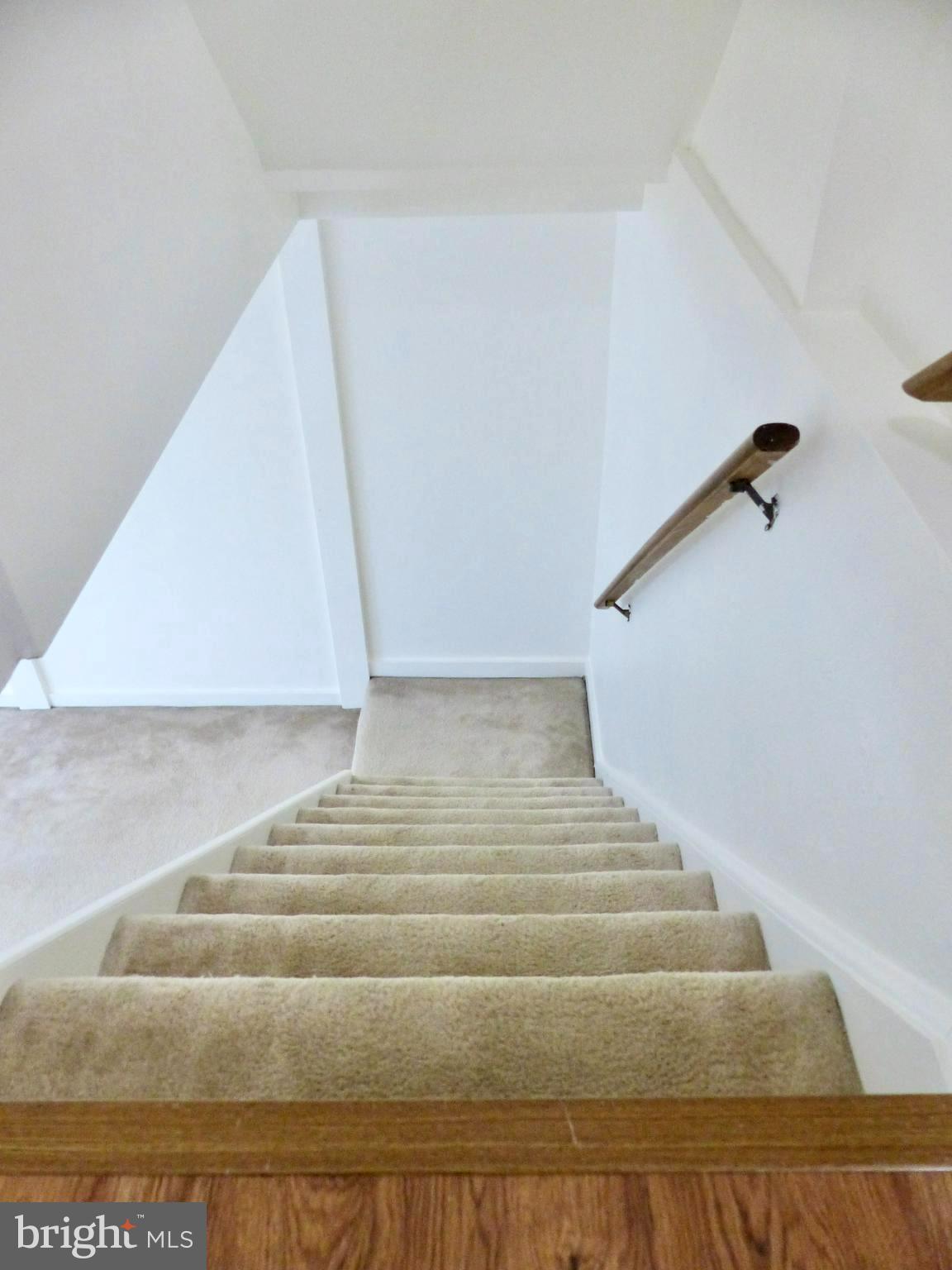 CARDINAL FOREST - Residential