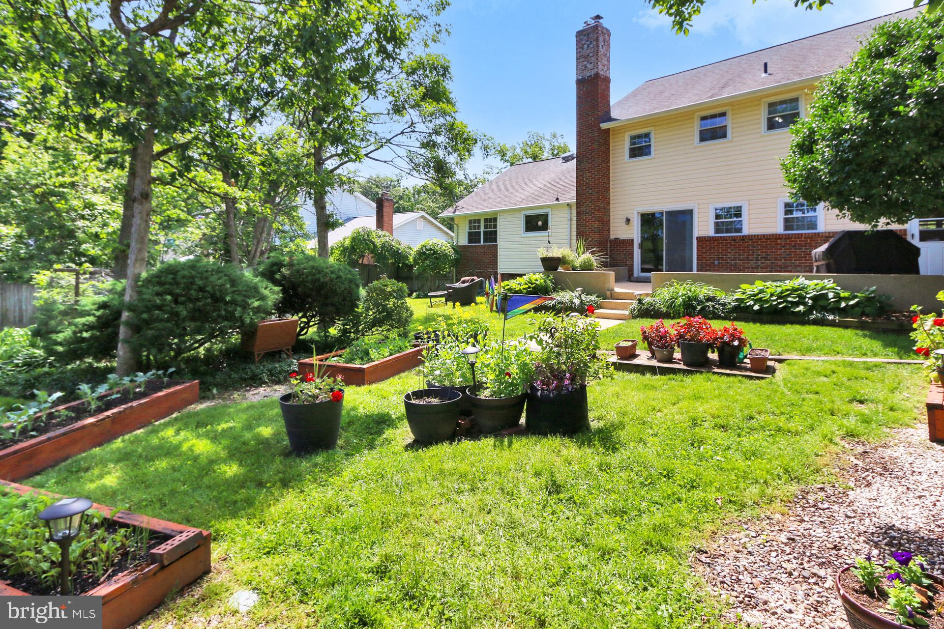 CARDINAL FOREST - Residential