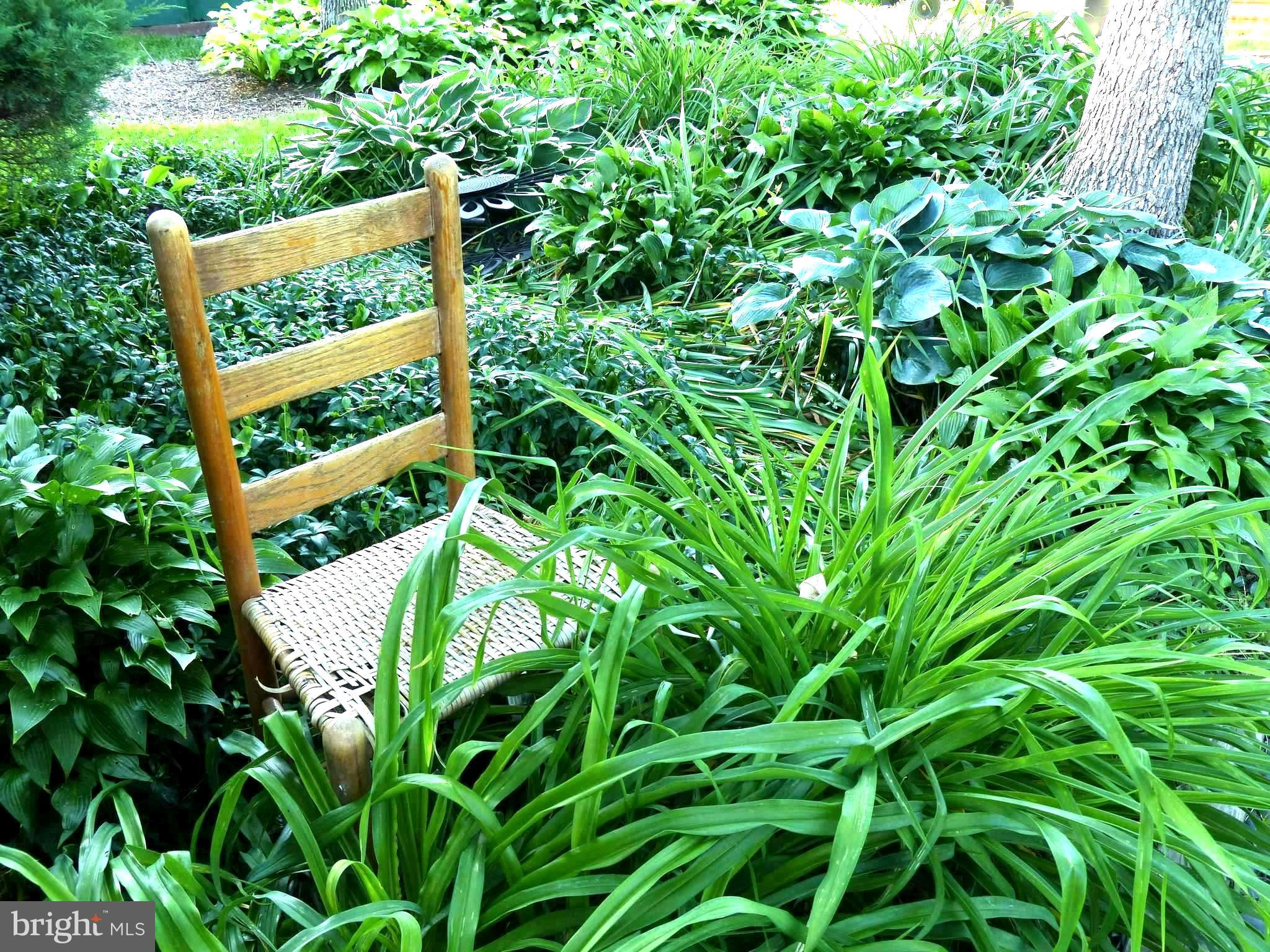 CARDINAL FOREST - Residential