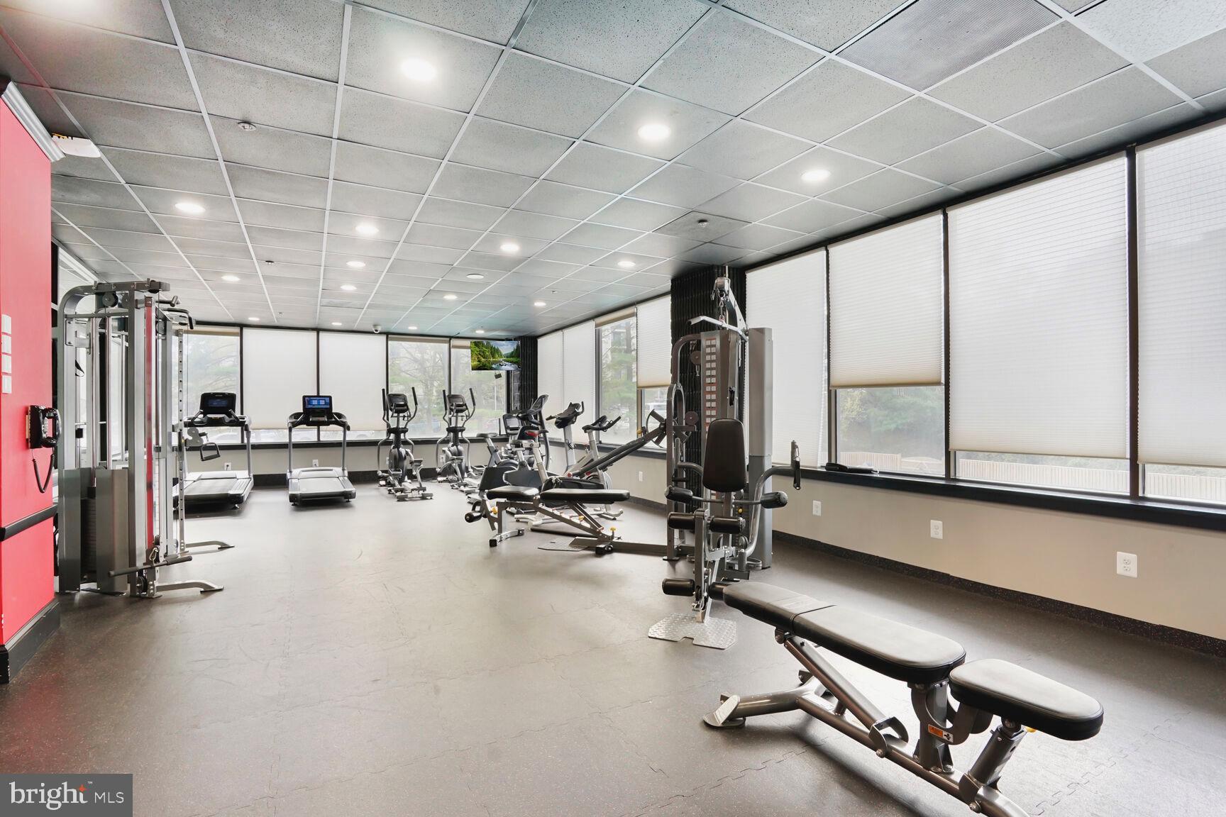 OLYMPUS - Residential