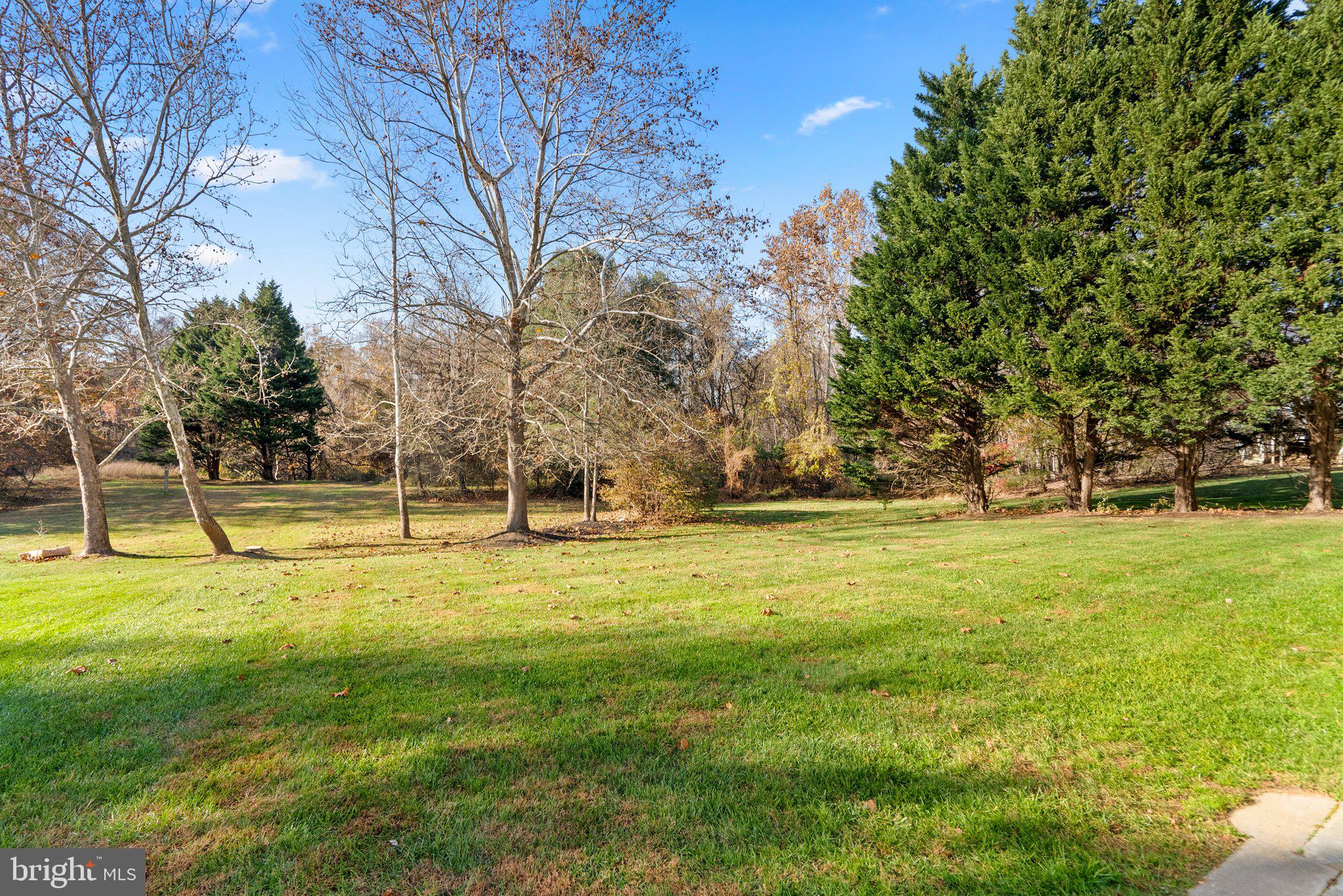 THE FOREST - Residential