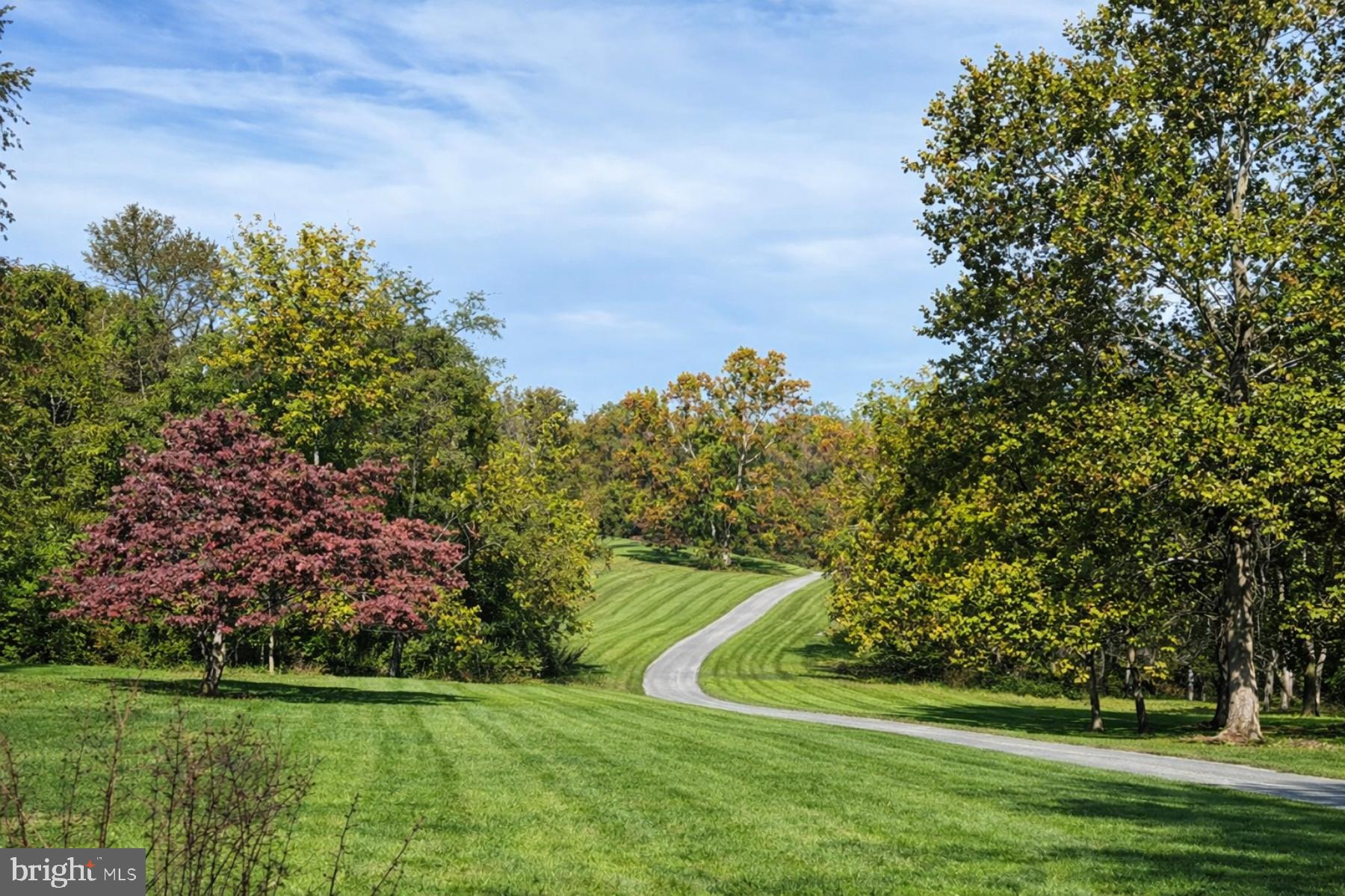 1230 CHILLY HOLLOW ROAD