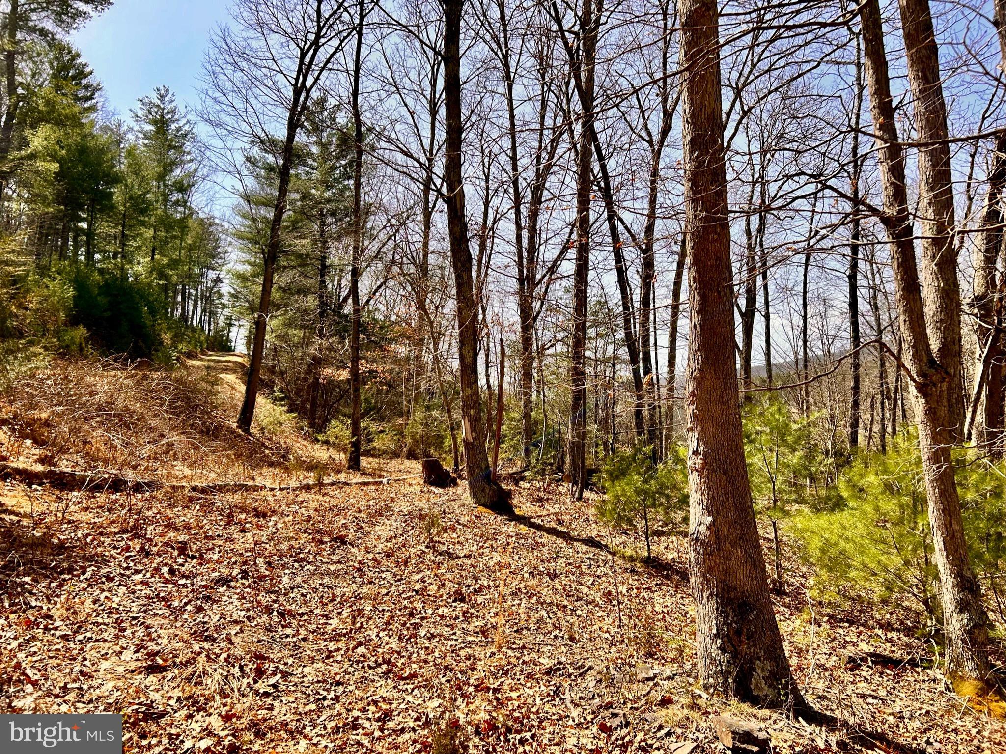 NONE AVAILABLE - Land