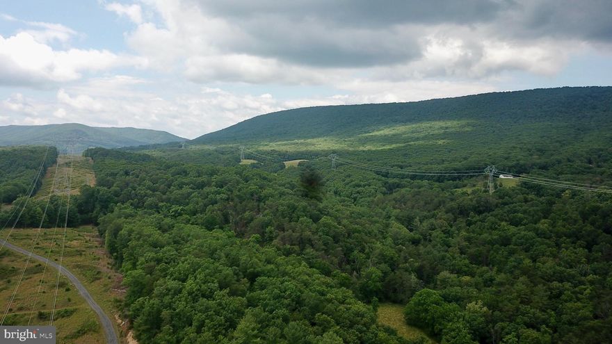 Wild and wonderful Delray, WV! This 63 AC+/- parcel of land is unrestricted and waiting for you to build your dream home! Mostly level land is perfect for exploring and hunting. Equipped with a beautiful, flowing, creek and many well maintained ATV paths to access every part of the property. There are views from every angle and plenty of usable land to explore. There are numerous spring fed wet weather pools of water and streams that whisper throughout the property, where you could clear for your own personal pond. Less than an hour from Winchester, VA. Only 2 hours from Washington, DC area. 30 minutes from Wardensville where you will find a local farmers market and shopping and dining. Make an appointment today!