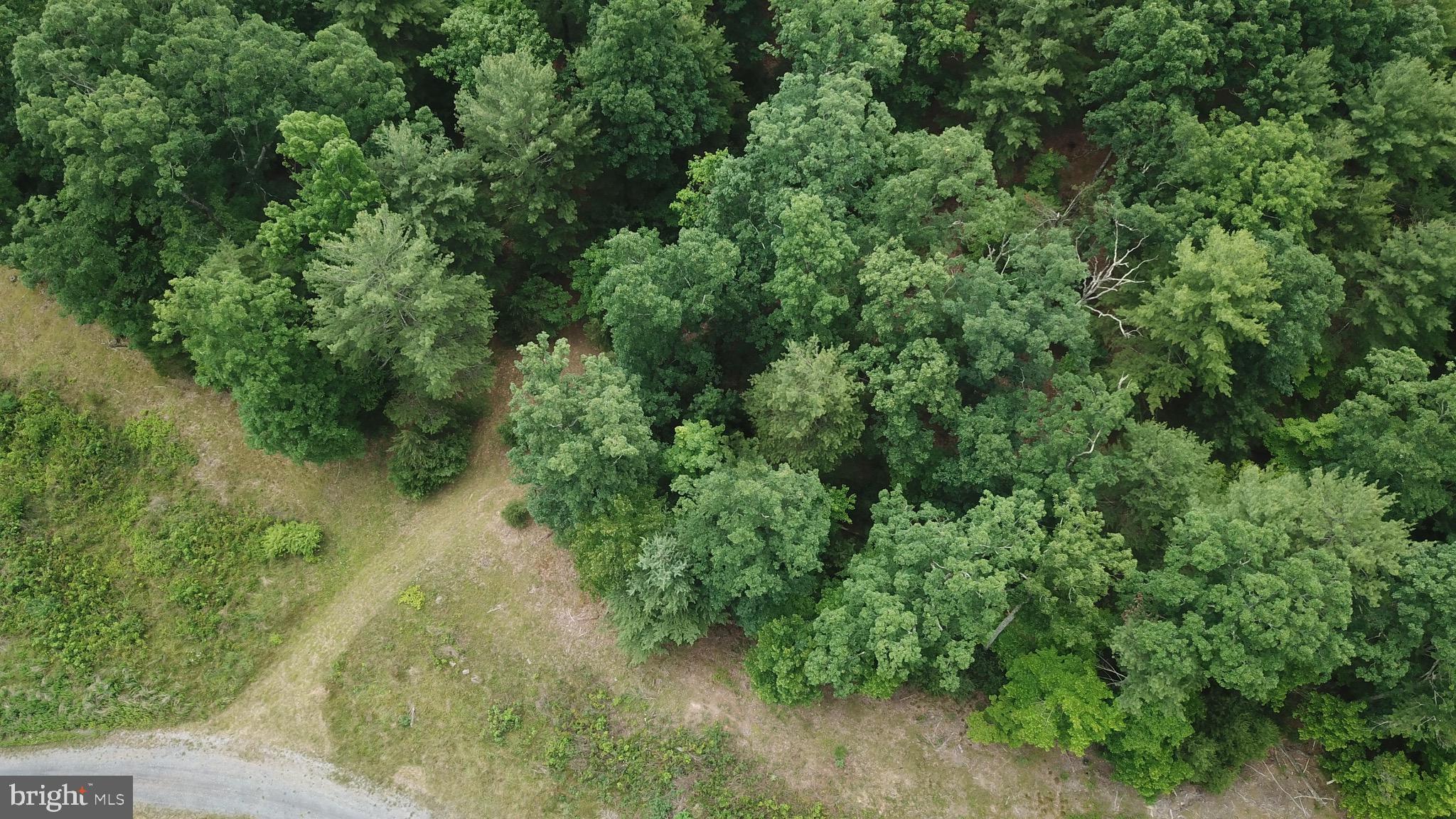 NONE AVAILABLE - Land