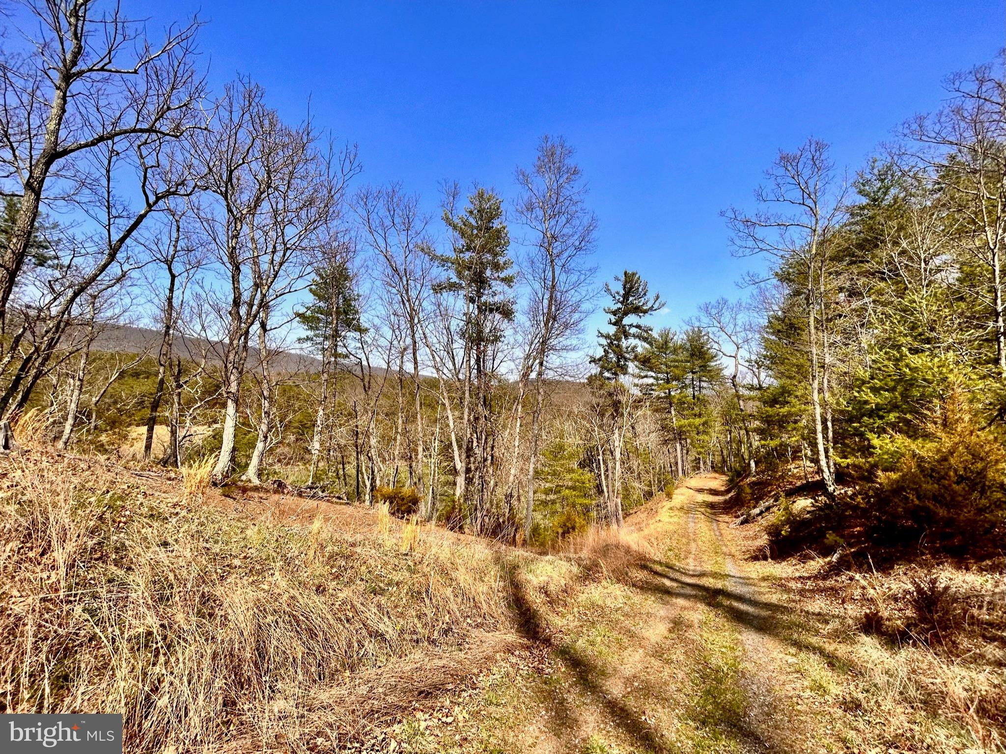 NONE AVAILABLE - Land