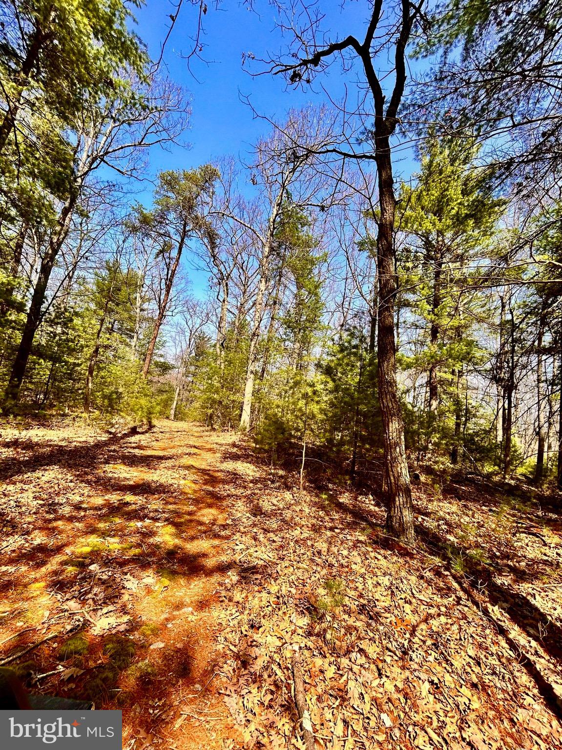 NONE AVAILABLE - Land