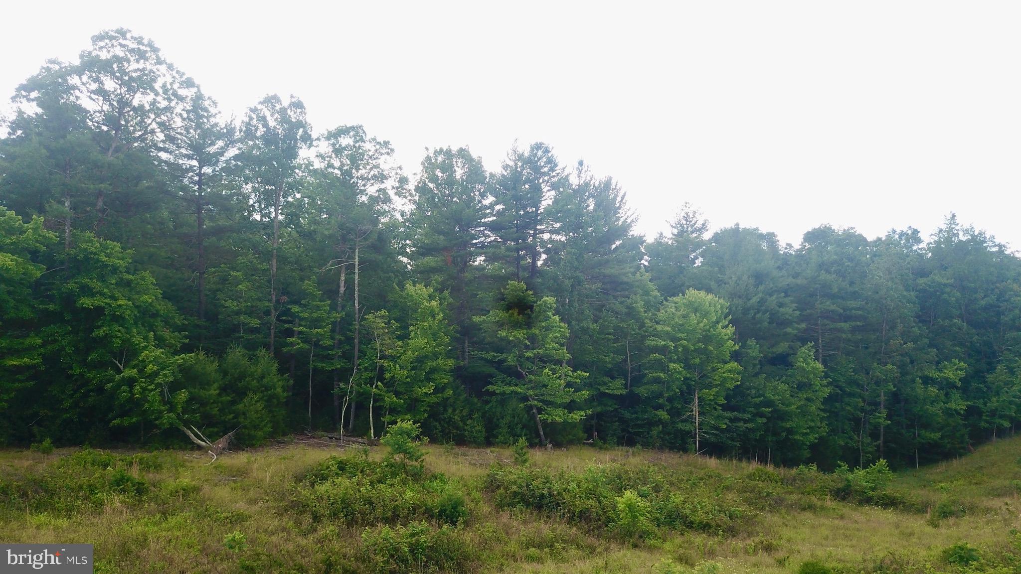 NONE AVAILABLE - Land