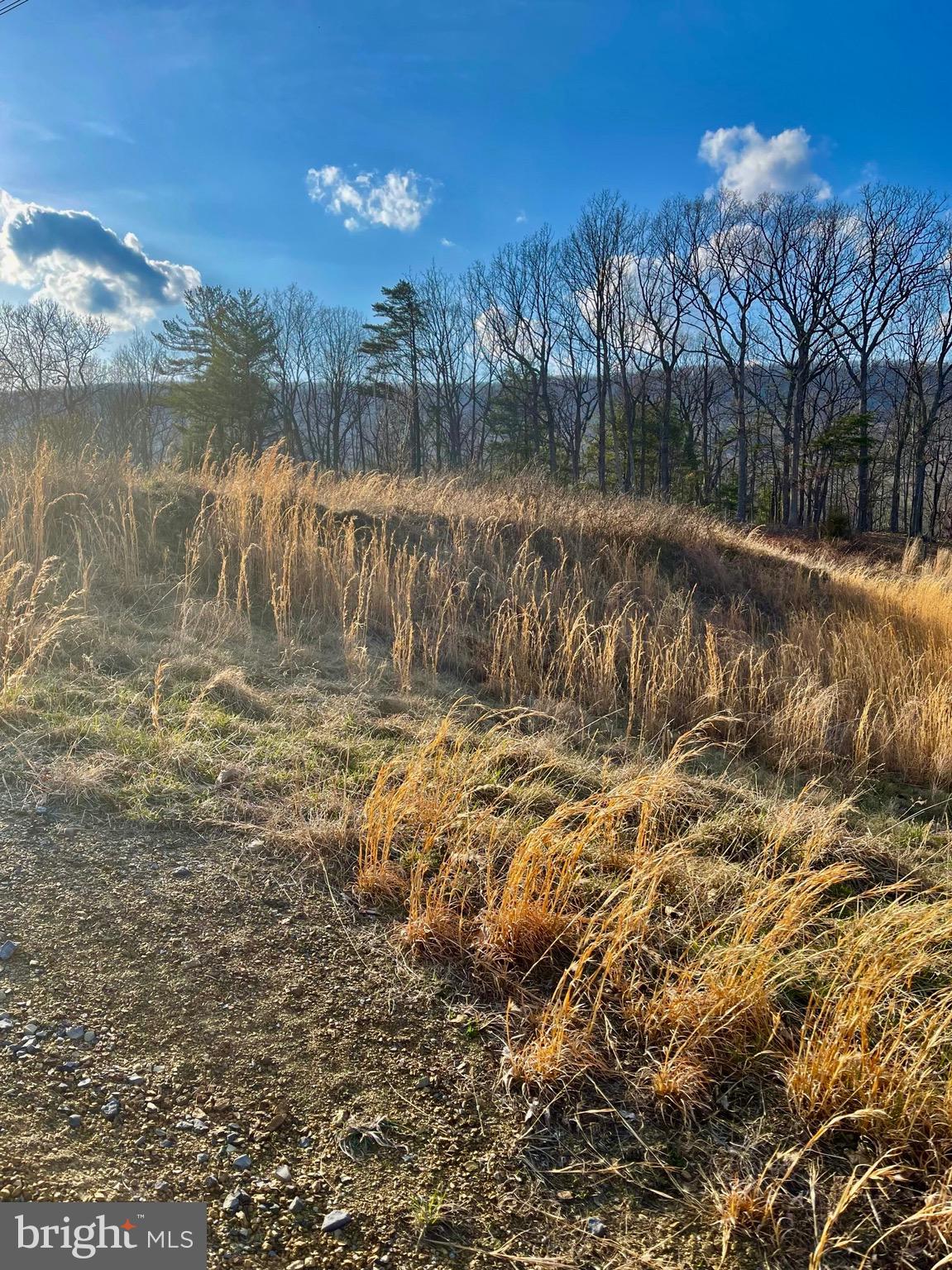 NONE AVAILABLE - Land