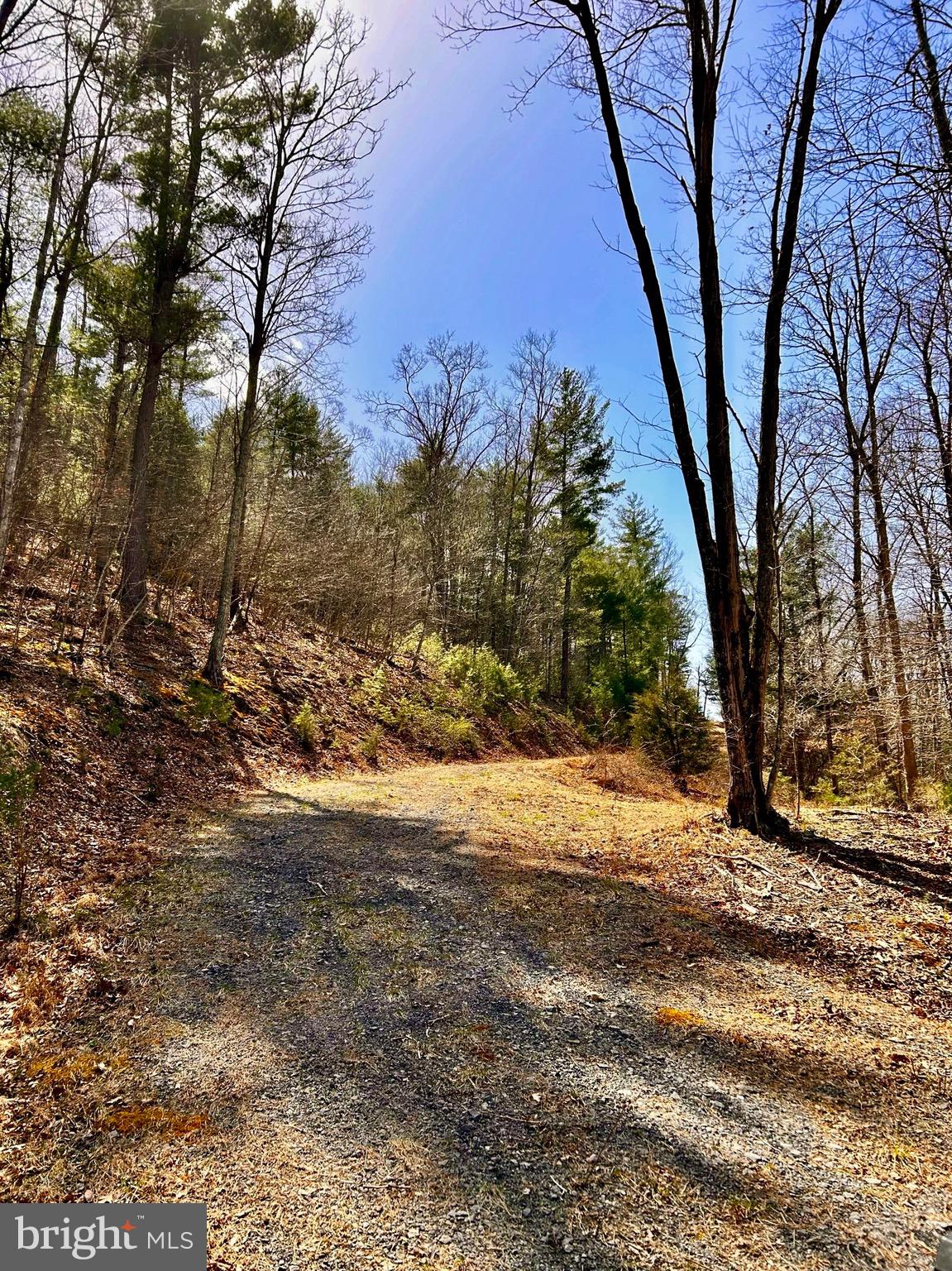 NONE AVAILABLE - Land