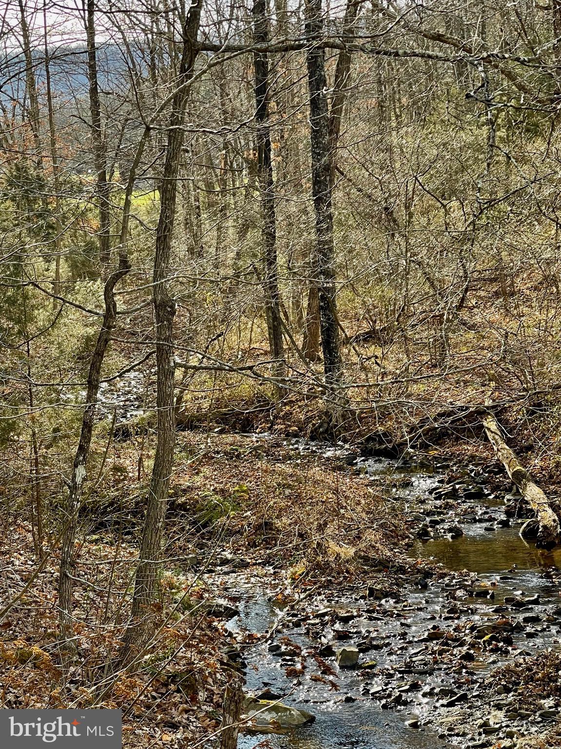 NONE AVAILABLE - Land