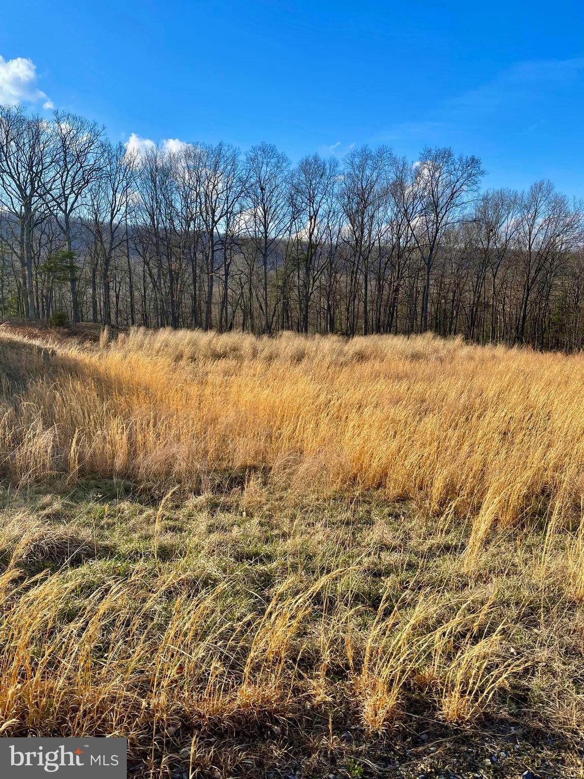 NONE AVAILABLE - Land