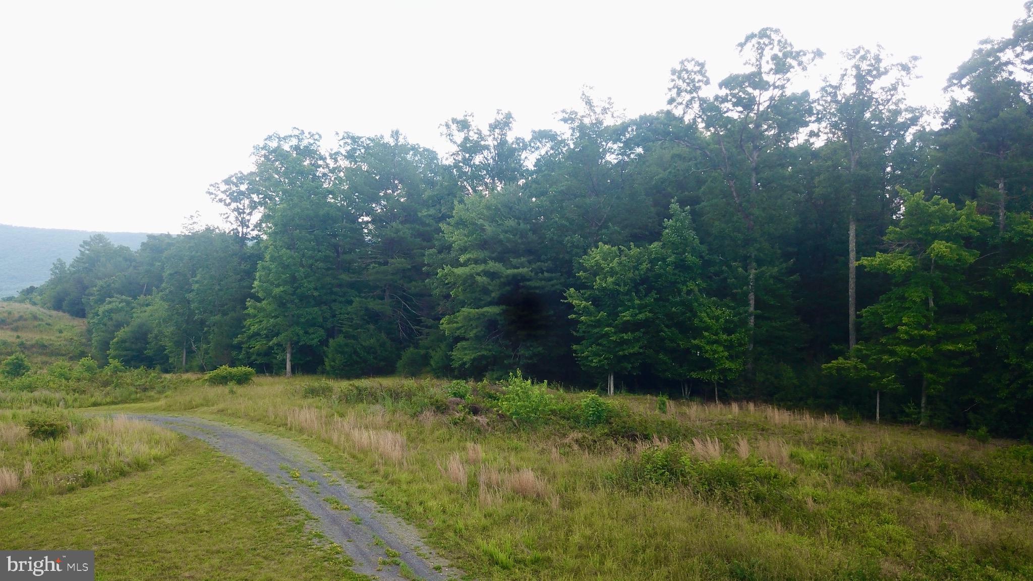 NONE AVAILABLE - Land