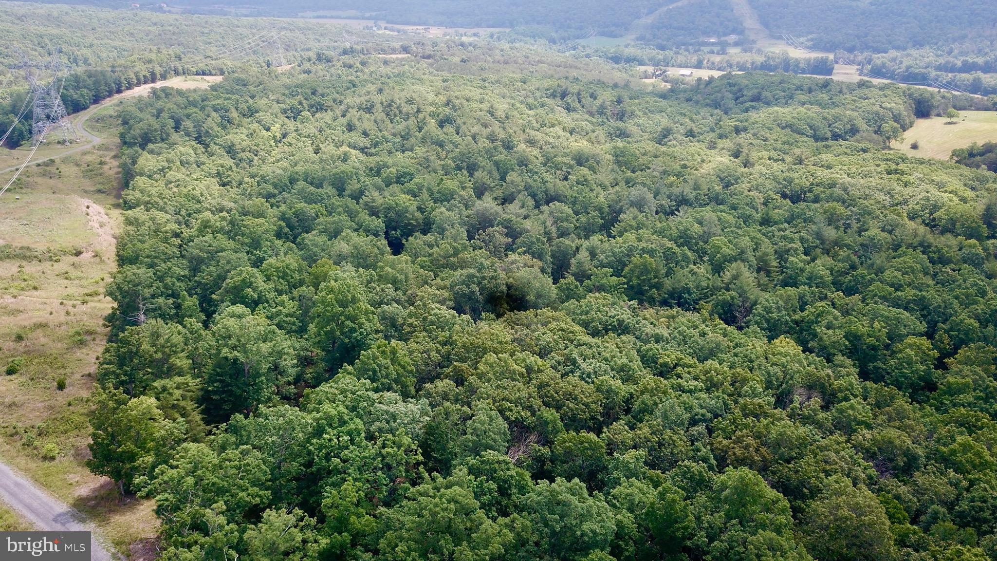 NONE AVAILABLE - Land