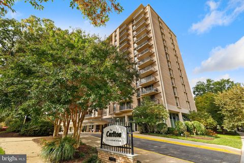 Condo For Sale - 4600 S Four Mile Run Drive #802<br/> ARLINGTON, VA 22204