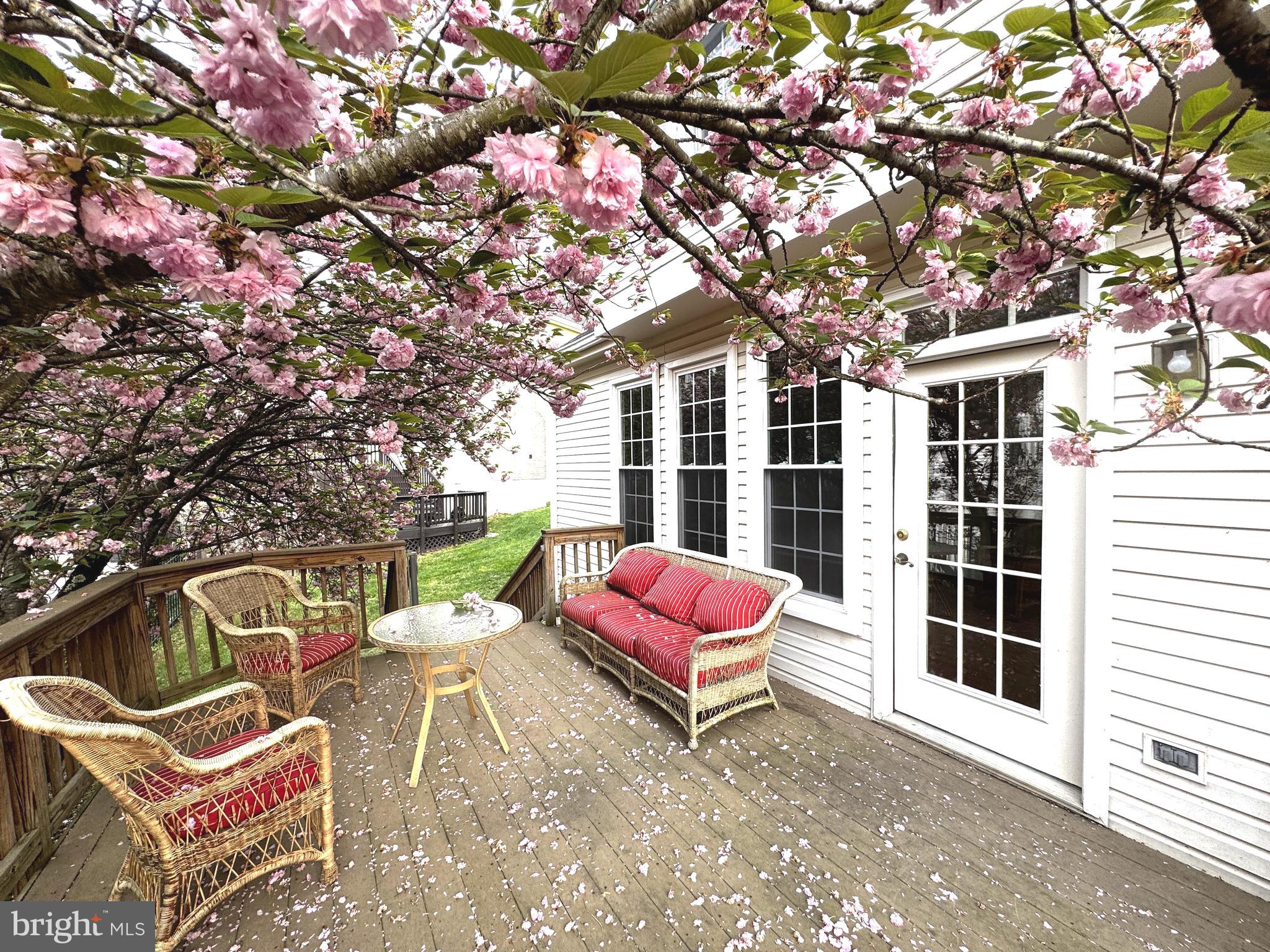 MISSION HILLS - Residential