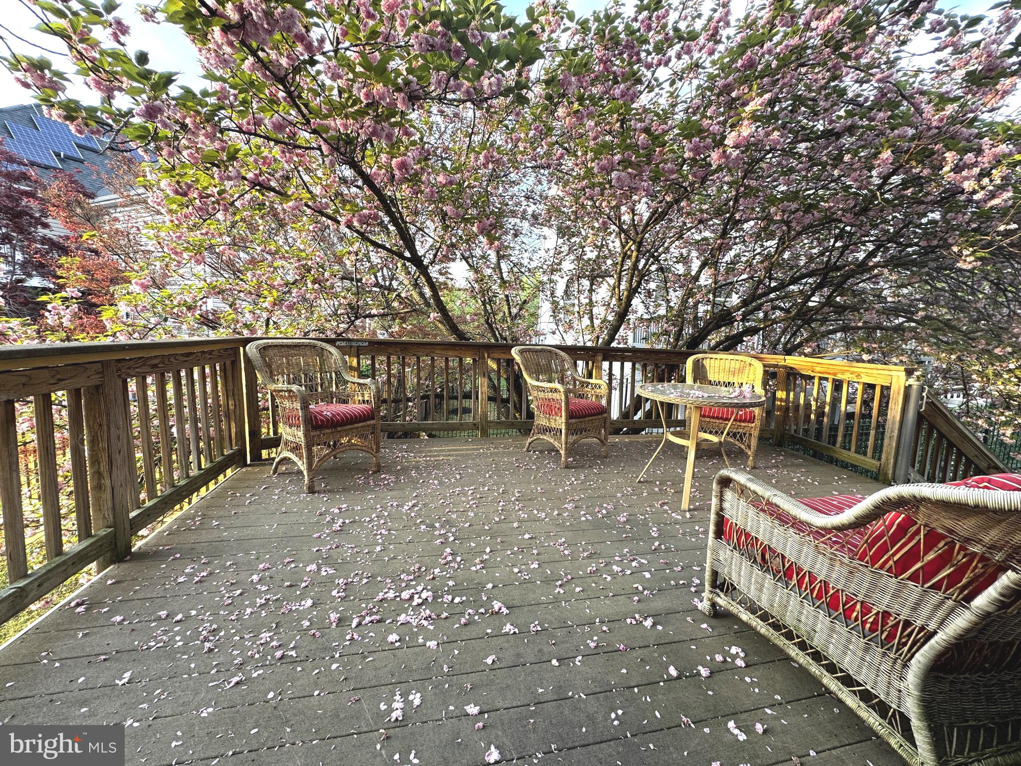 MISSION HILLS - Residential