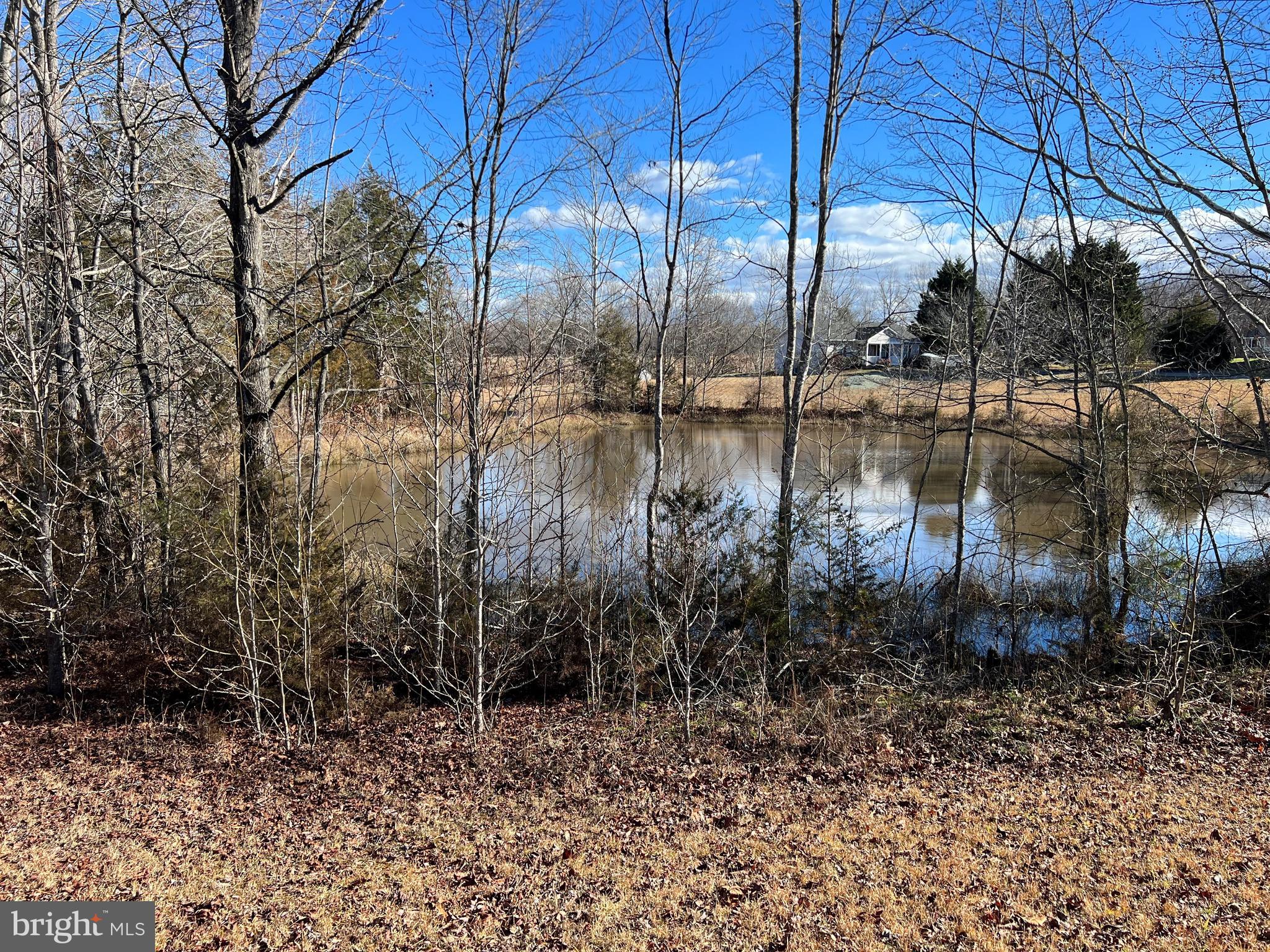 SECLUSION SHORES - Land