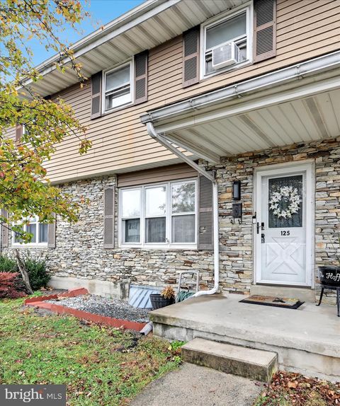 125 W GAUL STREET WERNERSVILLE PA 19565