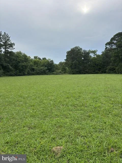 3501 Indian Grant Road, East New Market, MD, 21631