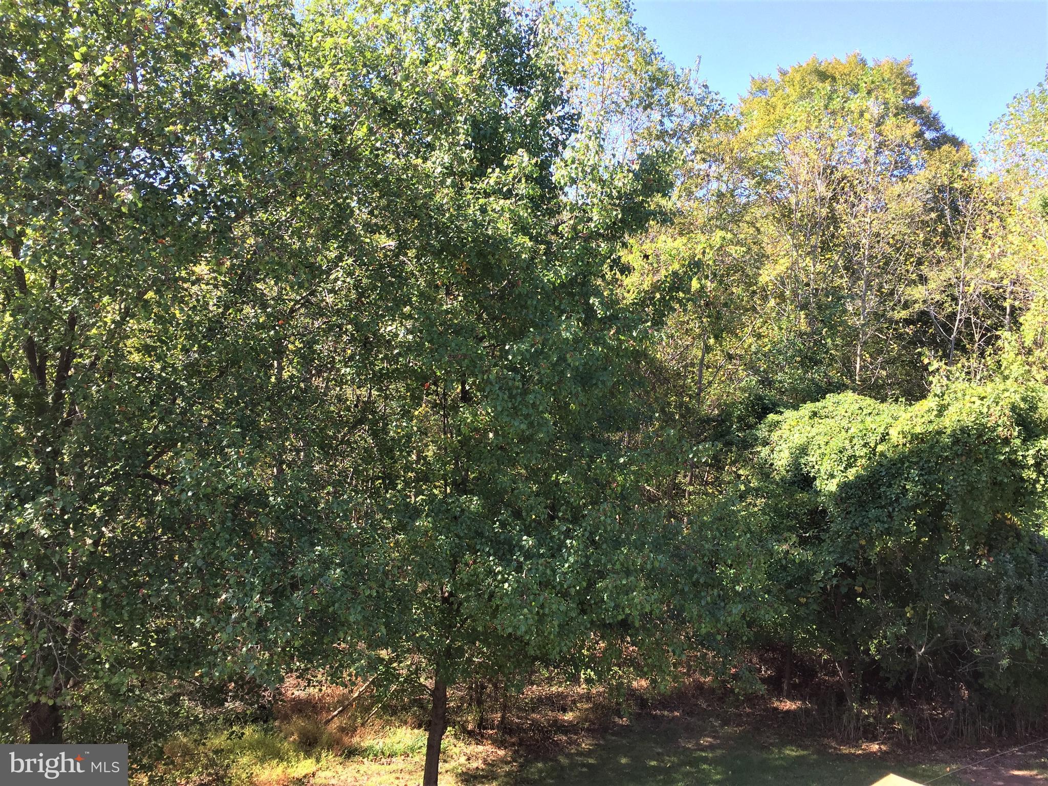 RED FOX FARMS - Residential