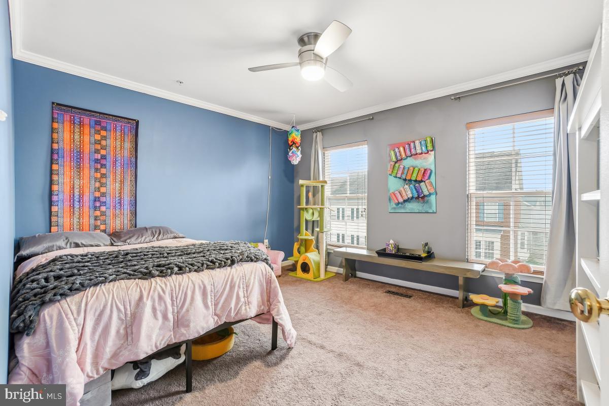 CLARKSBURG TOWN CENTER - Residential