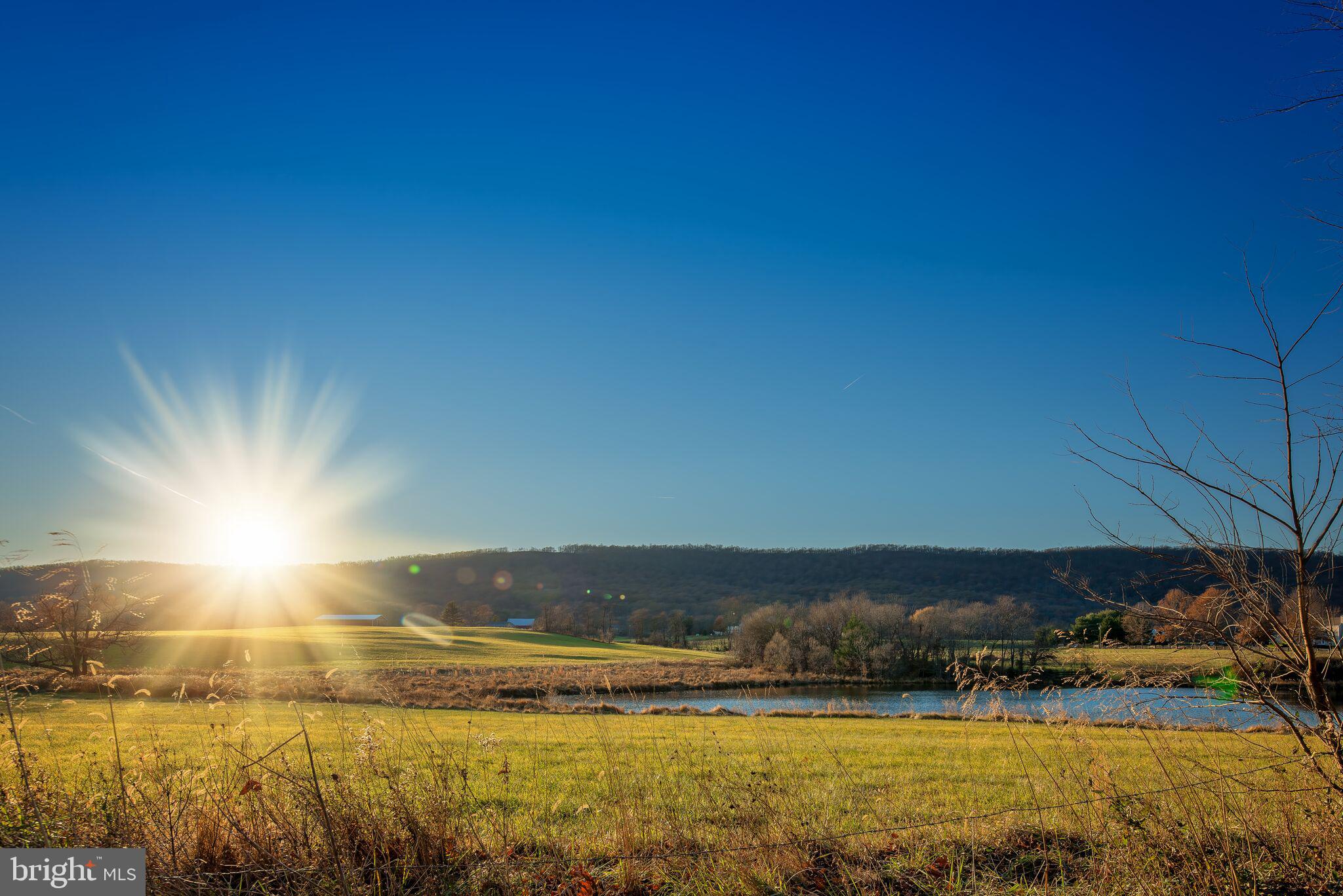 PRESIDENTS POINTE - Residential