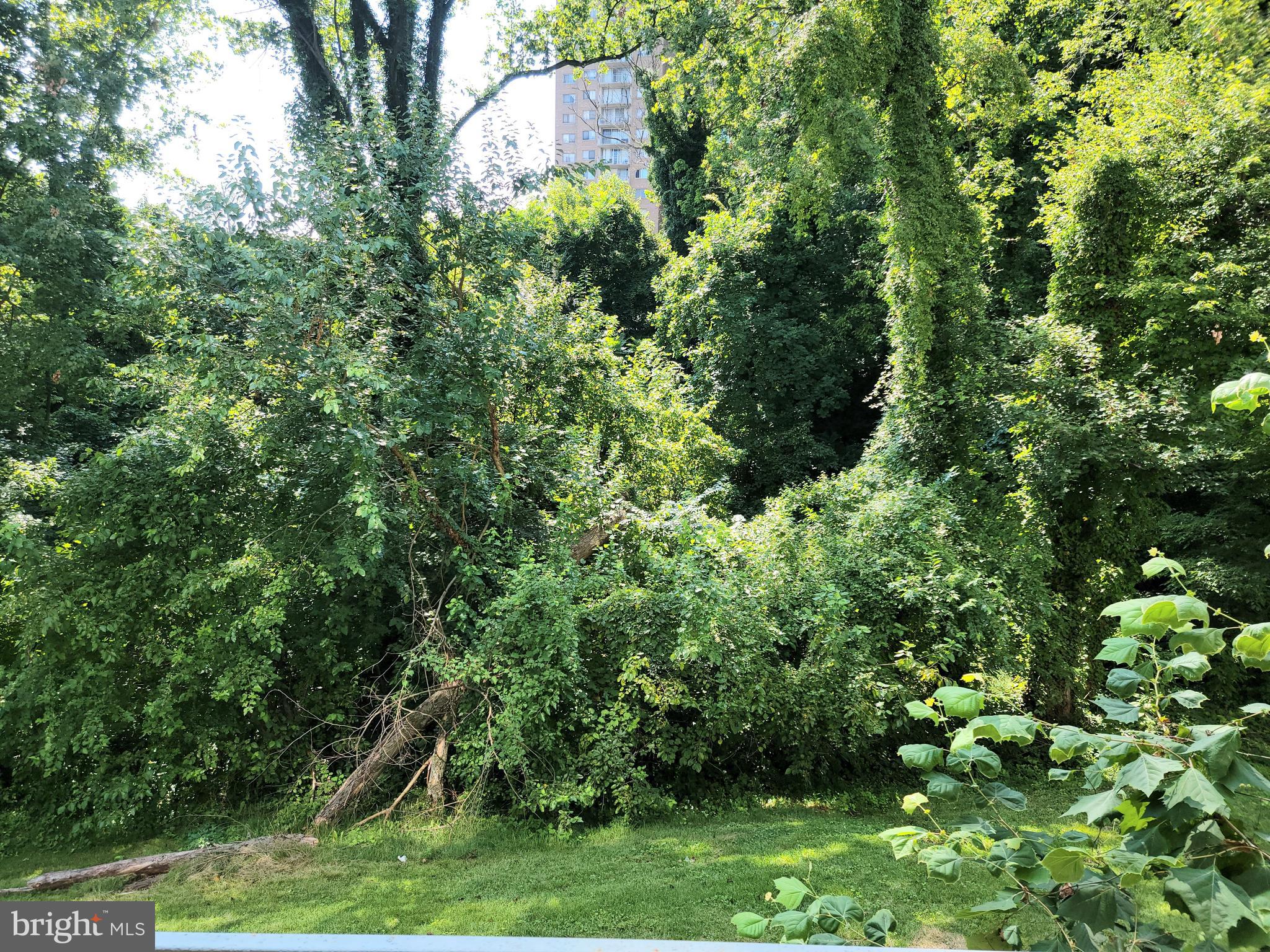 PRESIDENTIAL PARK - Residential