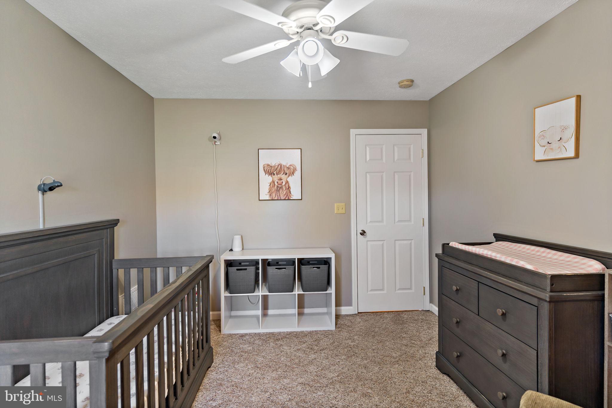 CACAPON SOUTH - Residential