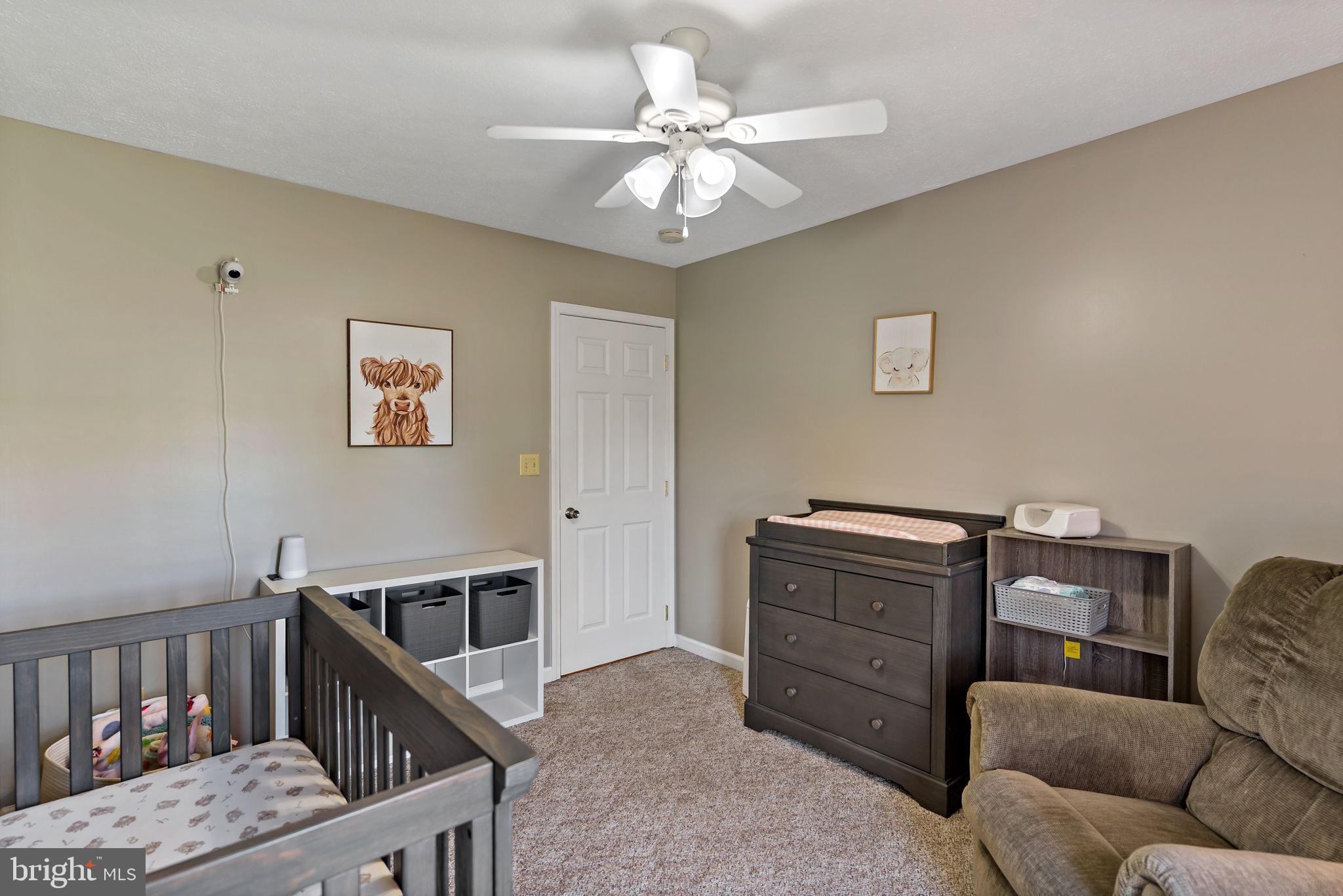 CACAPON SOUTH - Residential